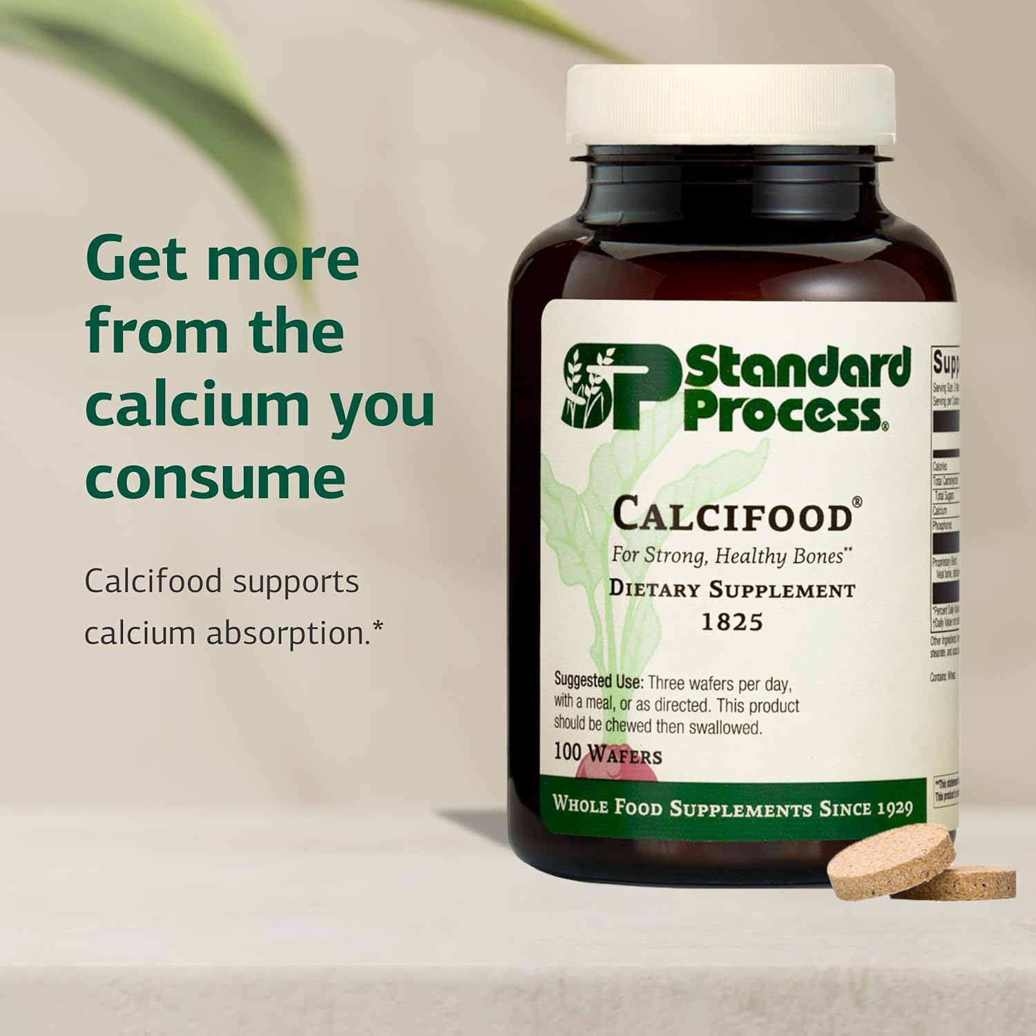 Standard Process Calcifood - Calcium Supplement for Bone Strength & Calcium Absorption - Bone Health Support for Women & Men - Non-Dairy & Non-Soy - 100 Wafers