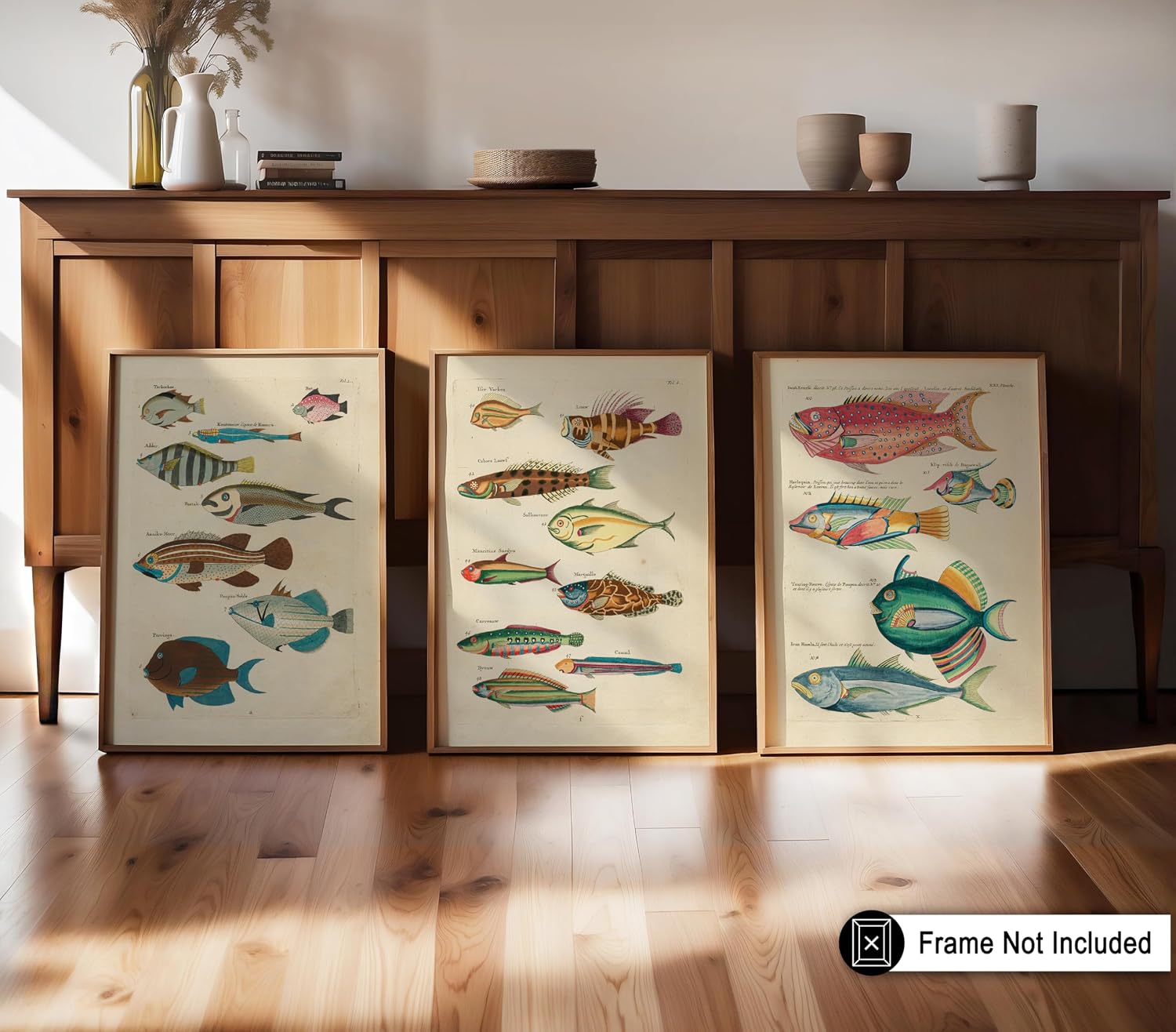 Poster Master 3-Piece Vintage Tropical Fish Poster - Retro Aquatic Print - Marine Life Art - Gift for Animal Lover & Fishermen - Decor for Office, Living Room or Classroom - 8x10 UNFRAMED Wall Art