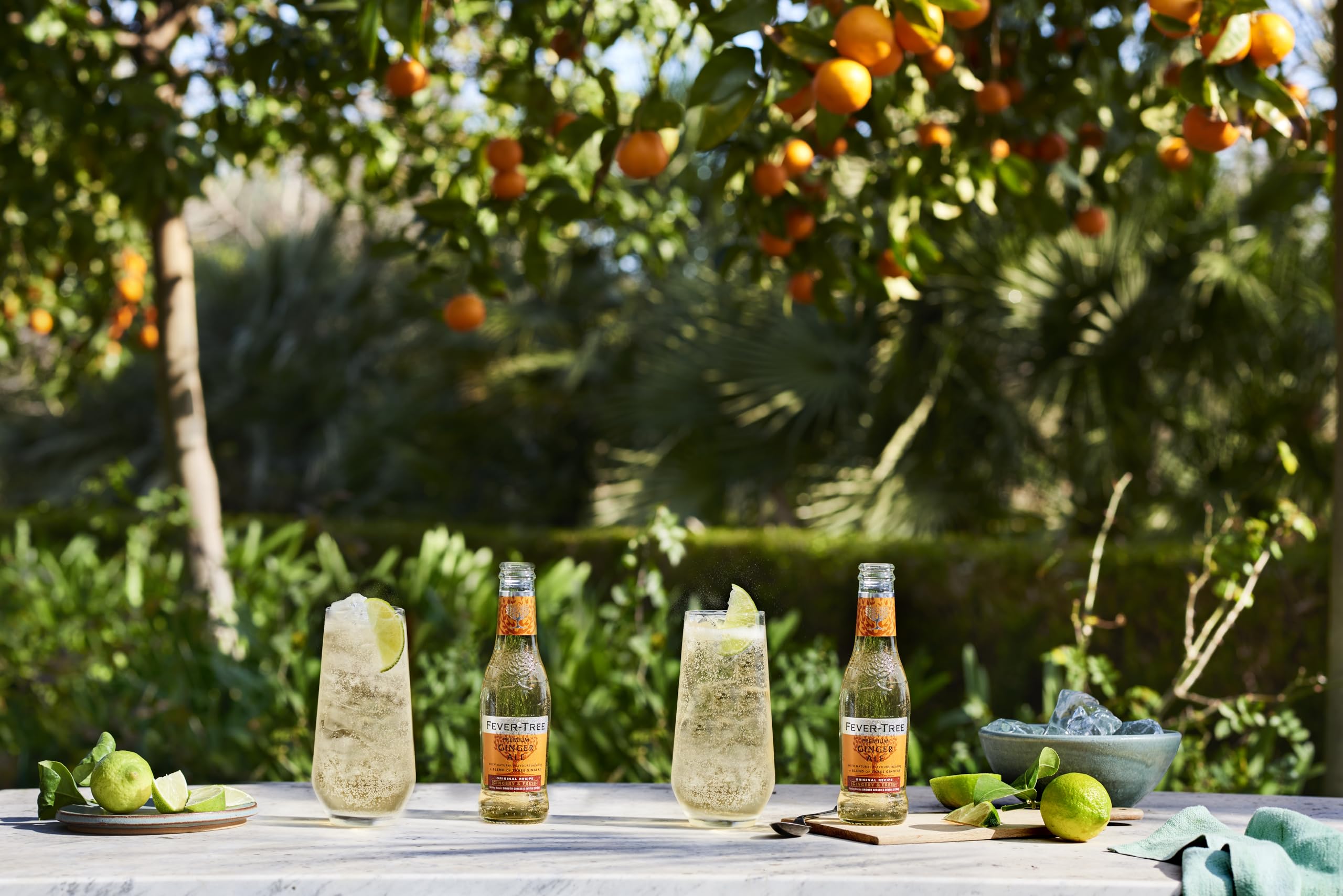 Fever-Tree Ginger Beer 4 x 200 ml (Pack of 6, Total 24 Bottles)