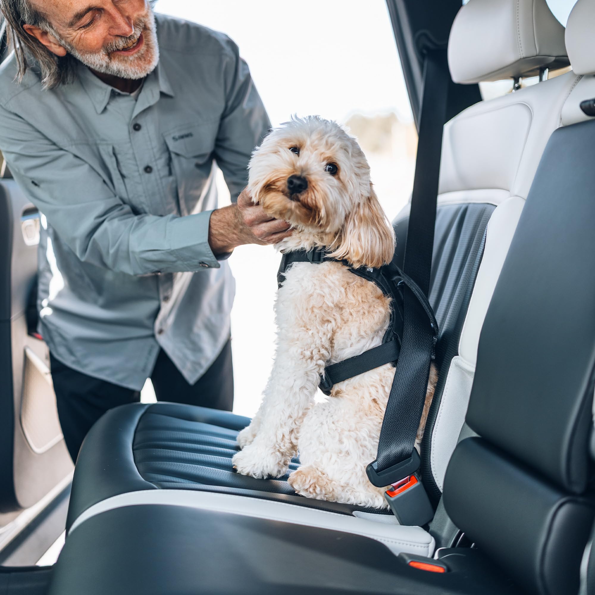 Thule Cappy Hundegeschirr Fürs Auto Black, S