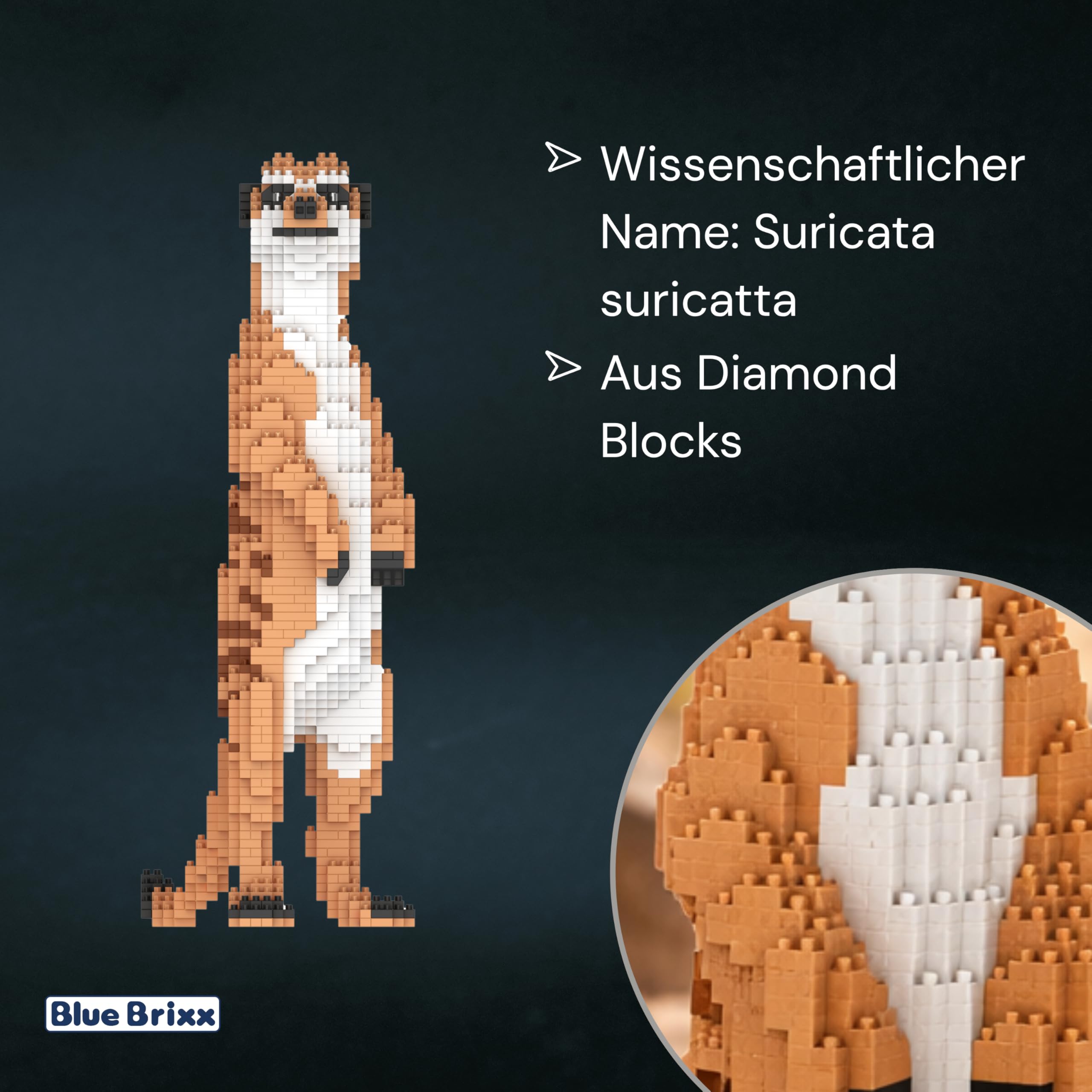 BlueBrixx Pro 107664 – Erdmännchen (Diamond Blocks) aus Klemmbausteinen mit 1645 Bauelementen