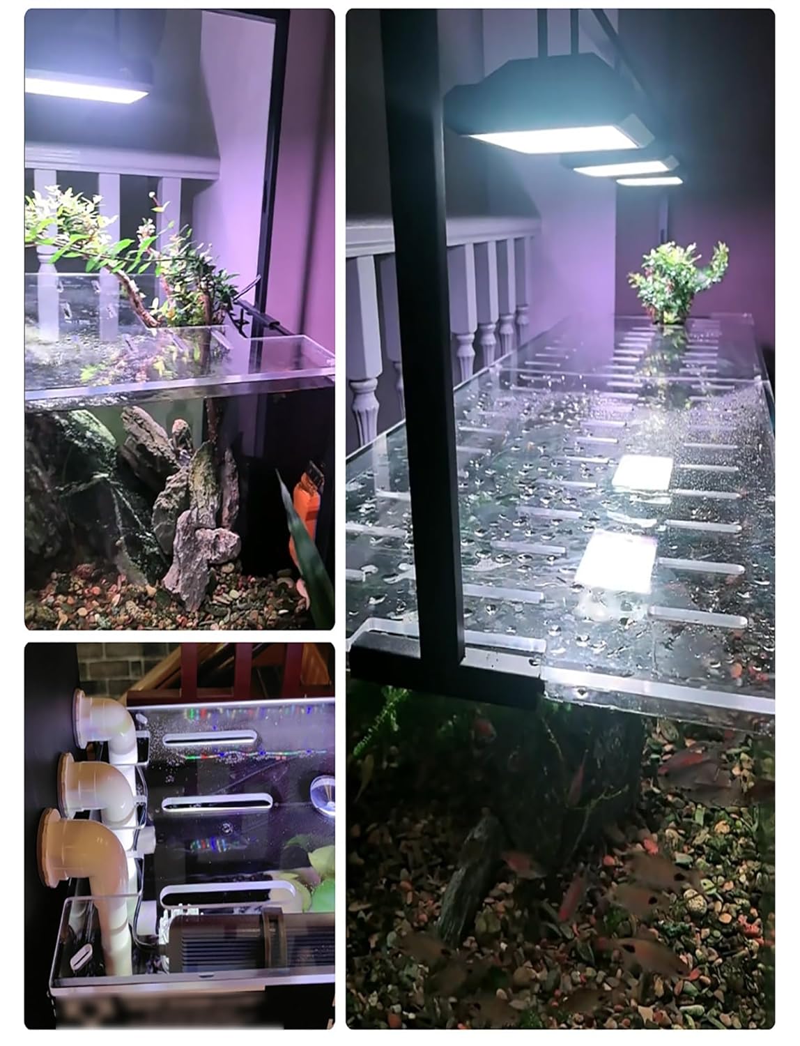 Custom Acrylic Aquarium Lid - Non-Jump Mesh Cover for Fish Tanks & Turtle Tanks, Cat-Scratch Resistant Top Cover, Tailored Sizes Available(20x20cm/7.9x7.9in)