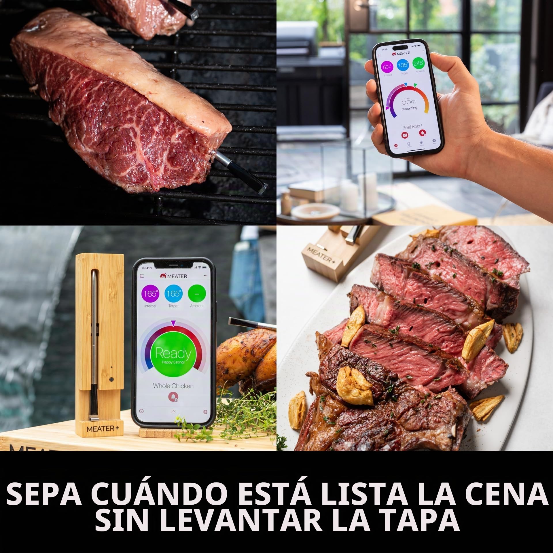 MEATER Plus | El termómetro inteligente inalámbrico para carne con alcance de 50 m para horno, parrilla, sartén y asador perfecto para disfrutar de la carne a través de la aplicación en alemán
