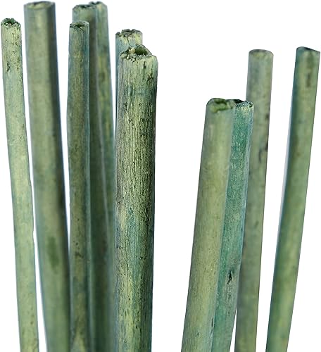 Miniatura 4 de Deco 79 Follaje natural sólido de madera, juego de 3 2 pulgadas de ancho, 57 pulgadas de alto, multicolor