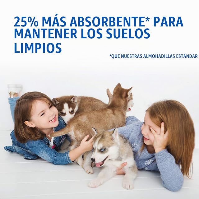 Foto 3 de 4 de OUT! PetCare out IR aquí Almohadillas de Entrenamiento para Perros (Pack de 100)