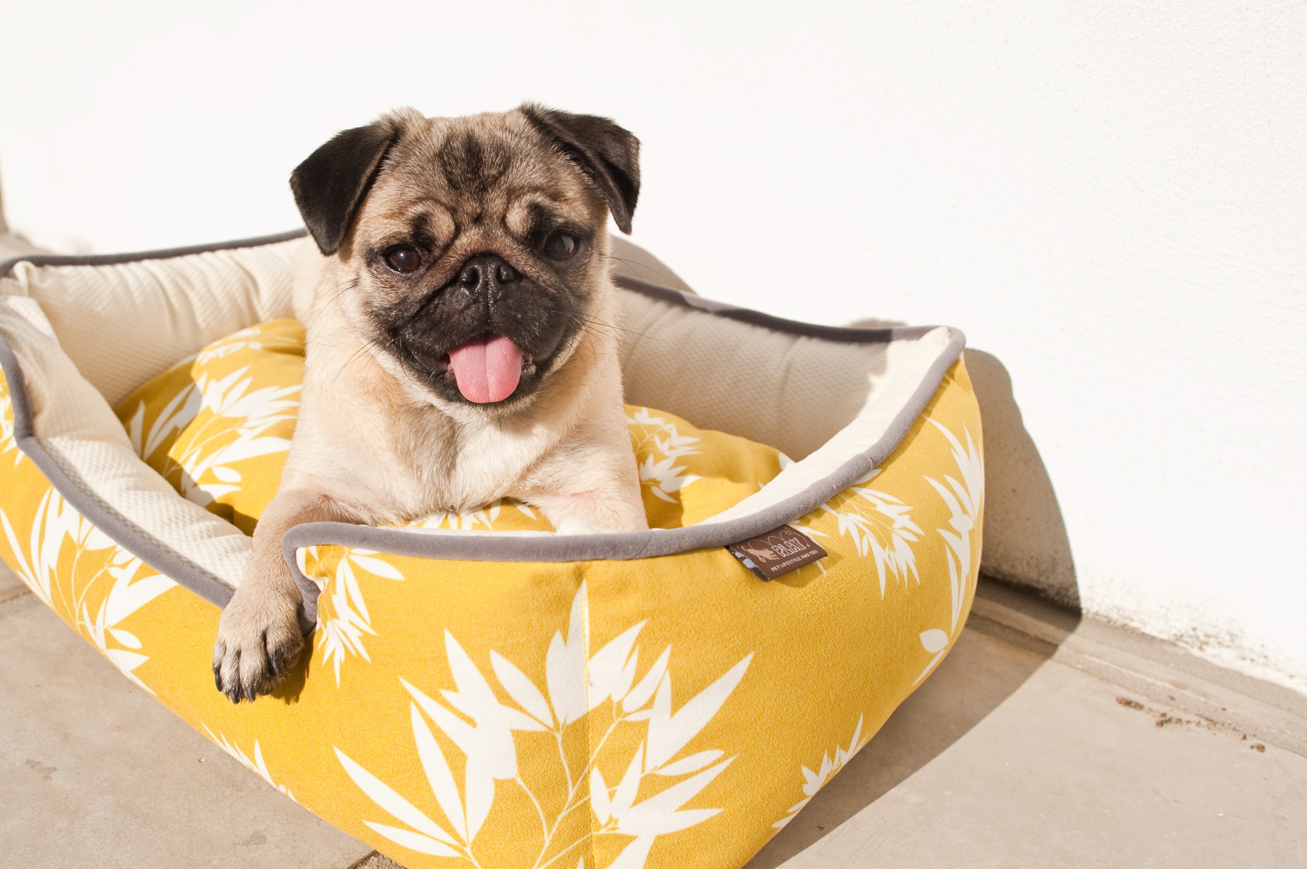 Amazon Com P L A Y Eco Friendly Premium Lounge Elevated Dog Bed Orthopedic And Ergonomic Support Removable Cover Washer And Dryer Safe Various Sizes And Designs For Large Dogs Small Dogs Dogs Pet Supplies