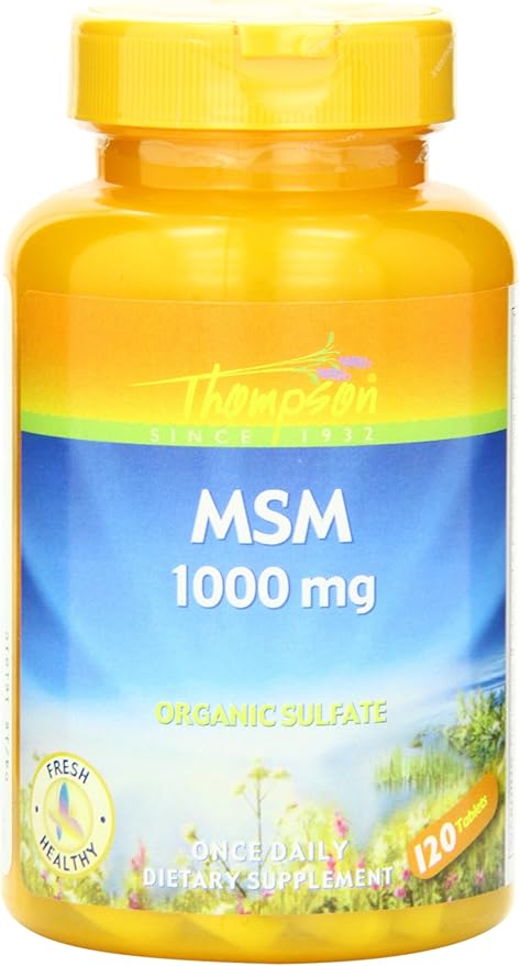 Amazon Com Thompson Msm Tablet Btl Plastic 1000mg 1ct Health Personal Care