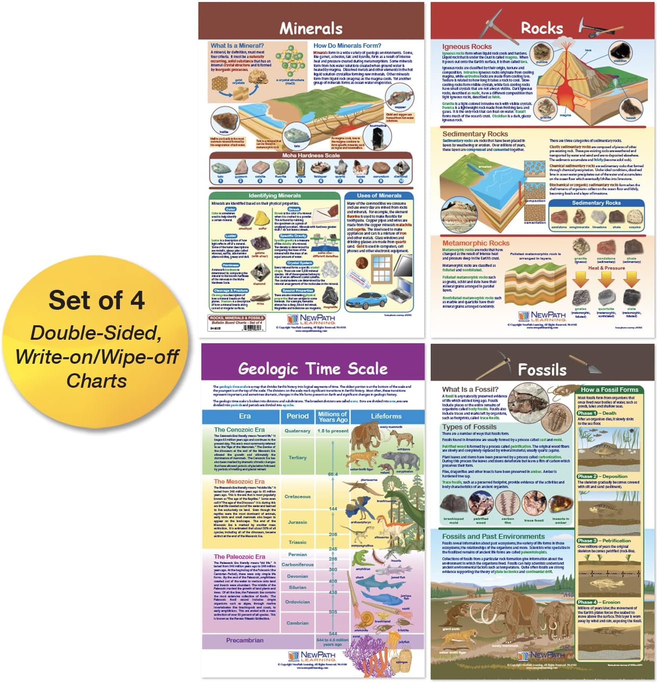 New Path Learning NewPath Learning 94-8005 Rocks, Minerals and Fossils Bulletin Board Chart Set (Pack of 4)