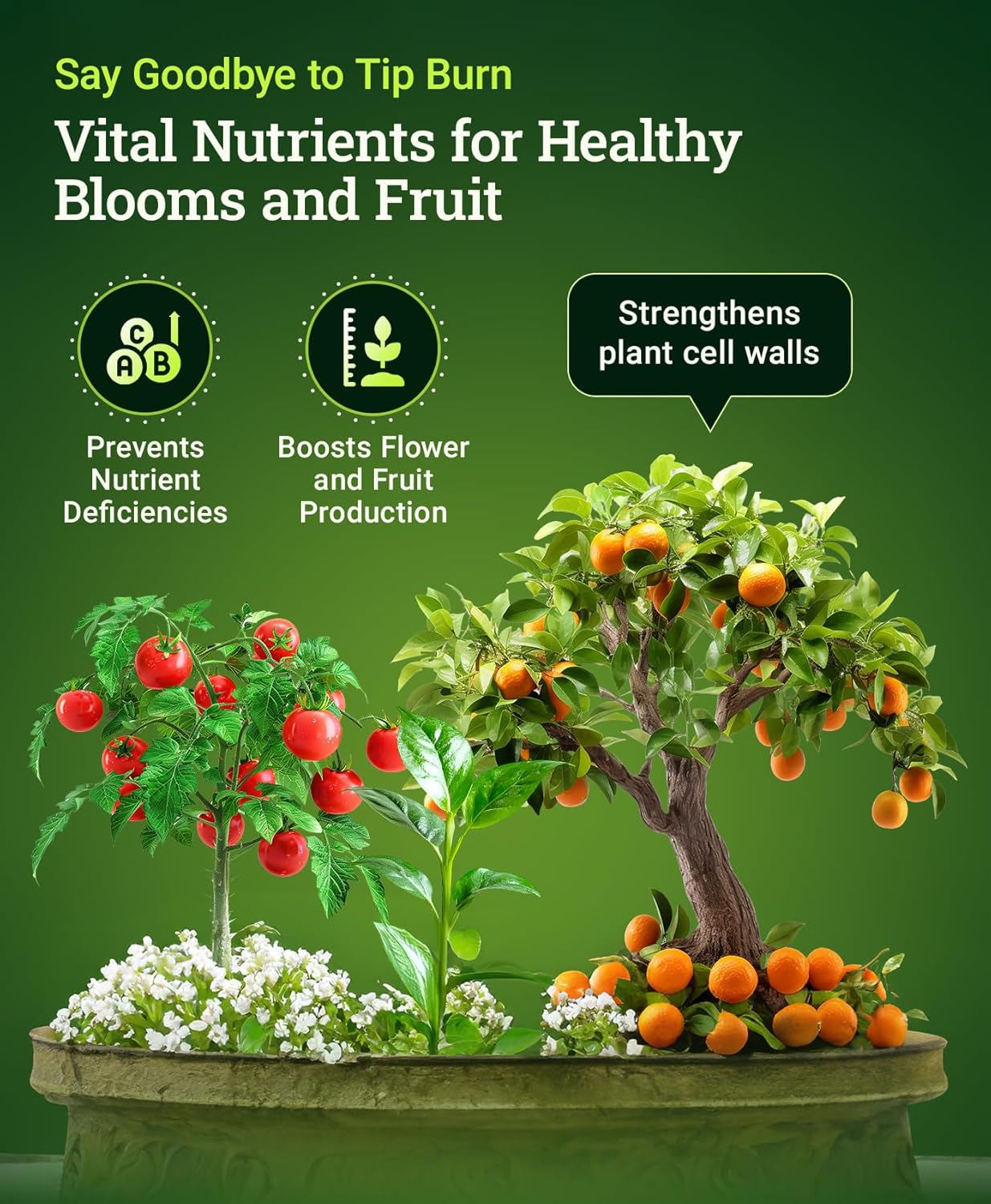 Fox Farm Cultivation Nation Cal-Mag Supplement - Formula with 3% Calcium & 1% Magnesium for Flowering & Fruiting, Ideal for Hydroponics, Soil, & All Growing Environment, NPK 4-0-0 (1 Pint) - Image 3