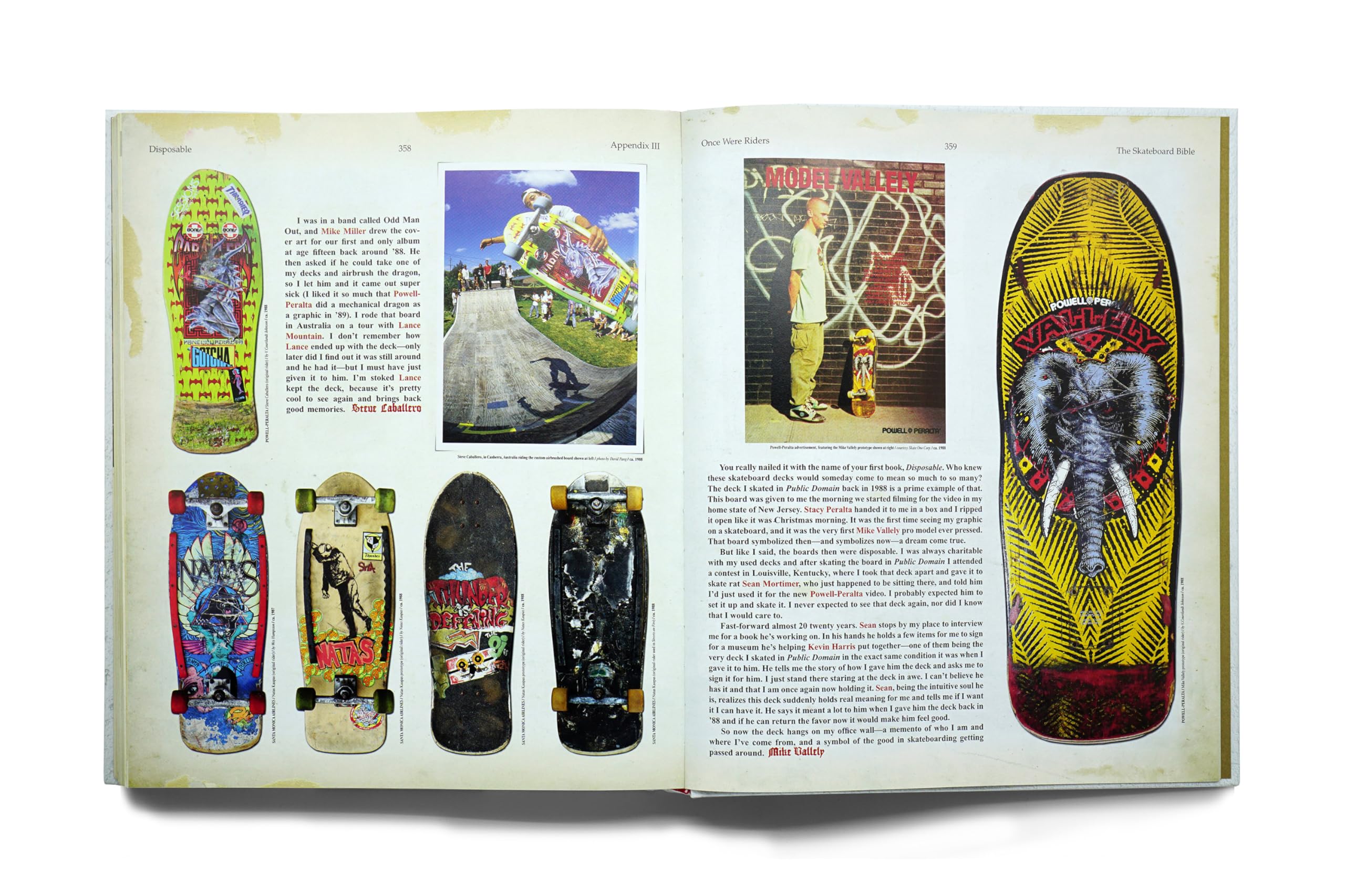 The Disposable Skateboard Bible