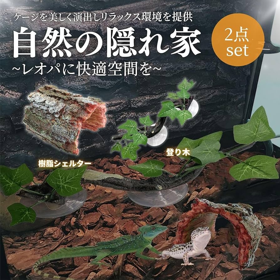 Amazon | Archnote 爬虫類 シェルター レオパ トカゲ カナヘビ ヤモリ