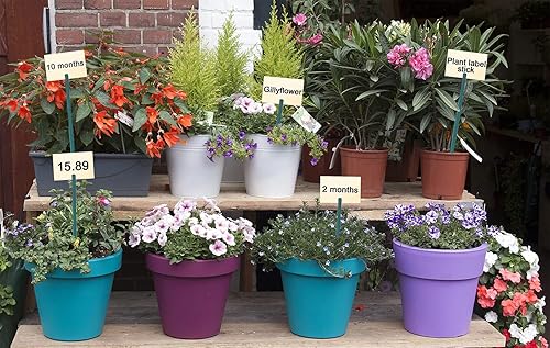 Miniatura 6 de Estacas de madera para jardín, estacas de bambú verde para plantas, floresorquídeastomates, estacas de madera para jardinería, estacas para plantas