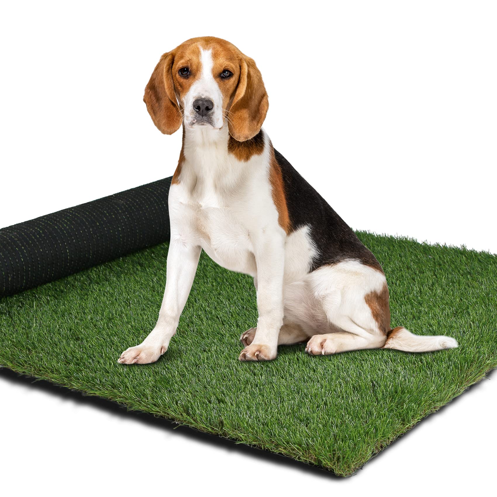 Buy XLX TURF Fake Grass Pee Pad for Dogs, 36" x 23" Pets Artificial