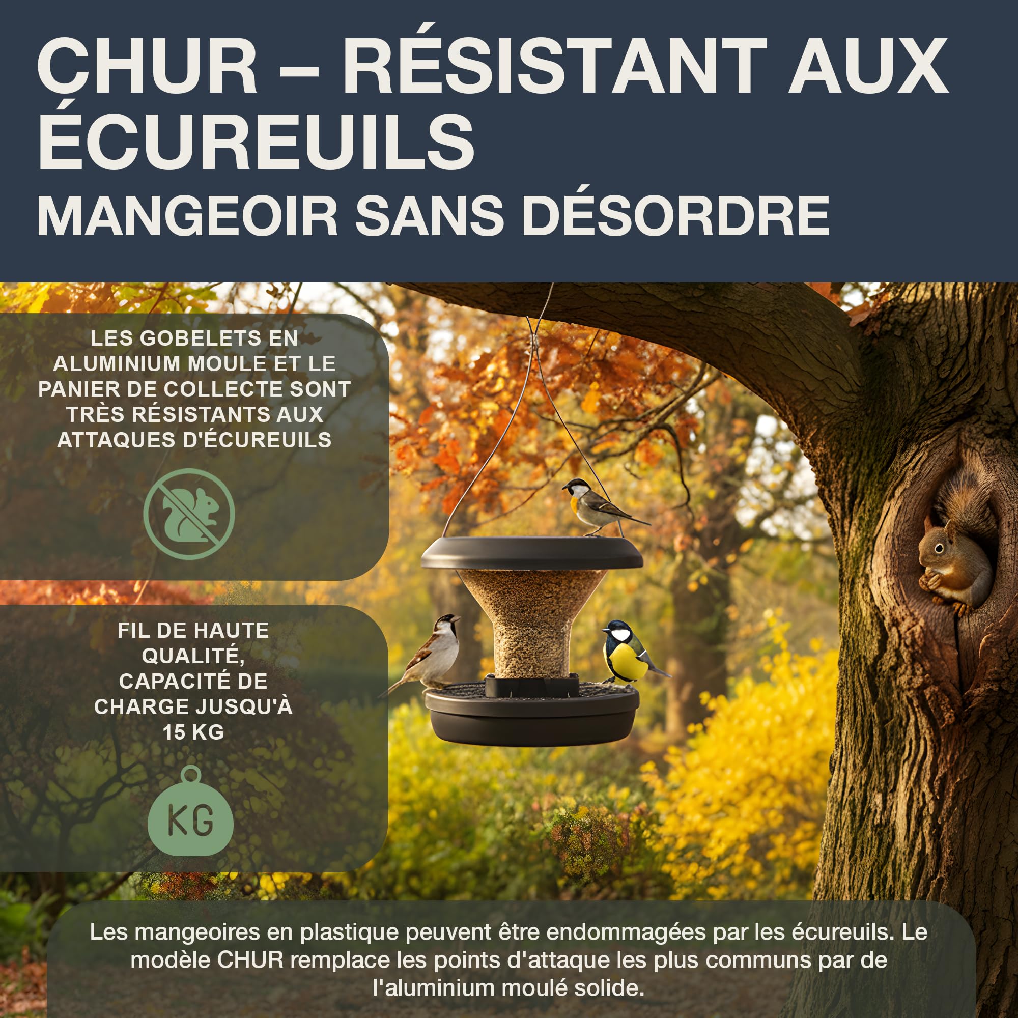 SWISSINNO Mangeoire Oiseaux Extérieur, Haute Anti écureuils Aluminium