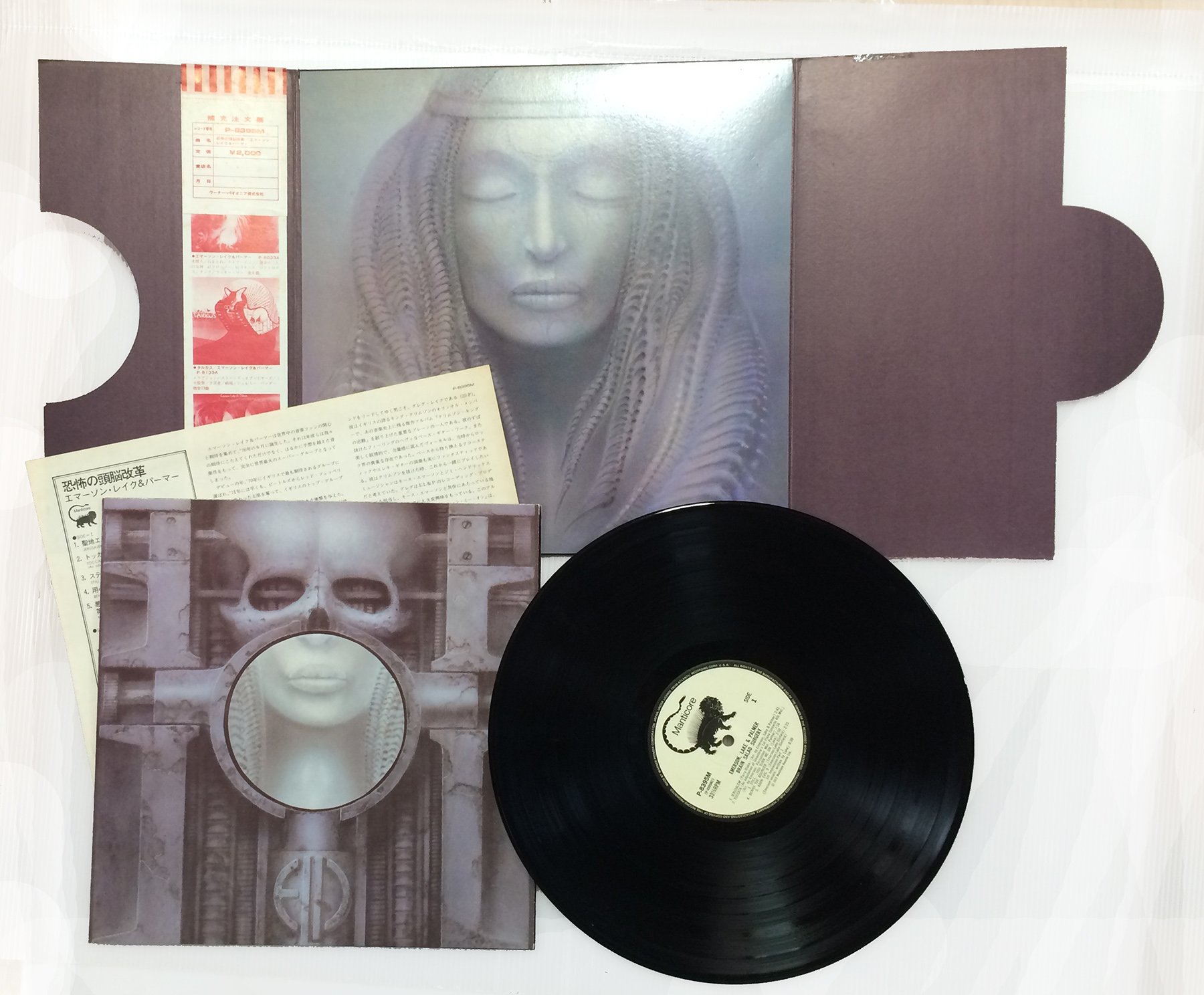 Brain Salad Surgery