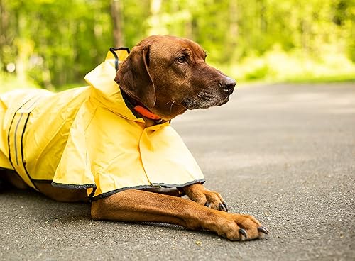 Miniatura 7 de Fashion Pet días lluviosos Slicker Amarillo Raincoat, M, Amarillo