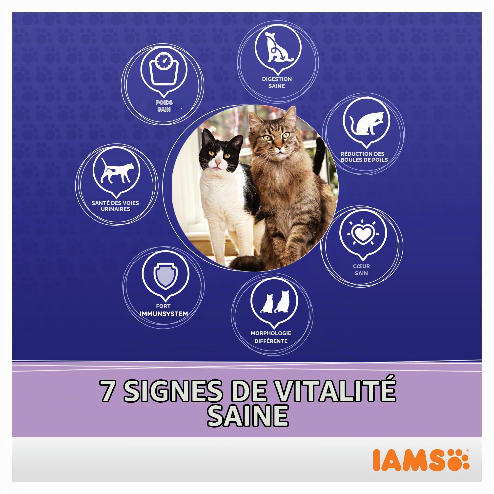 IAMS Multicat Croquettes Poulet et Saumon 15 kg