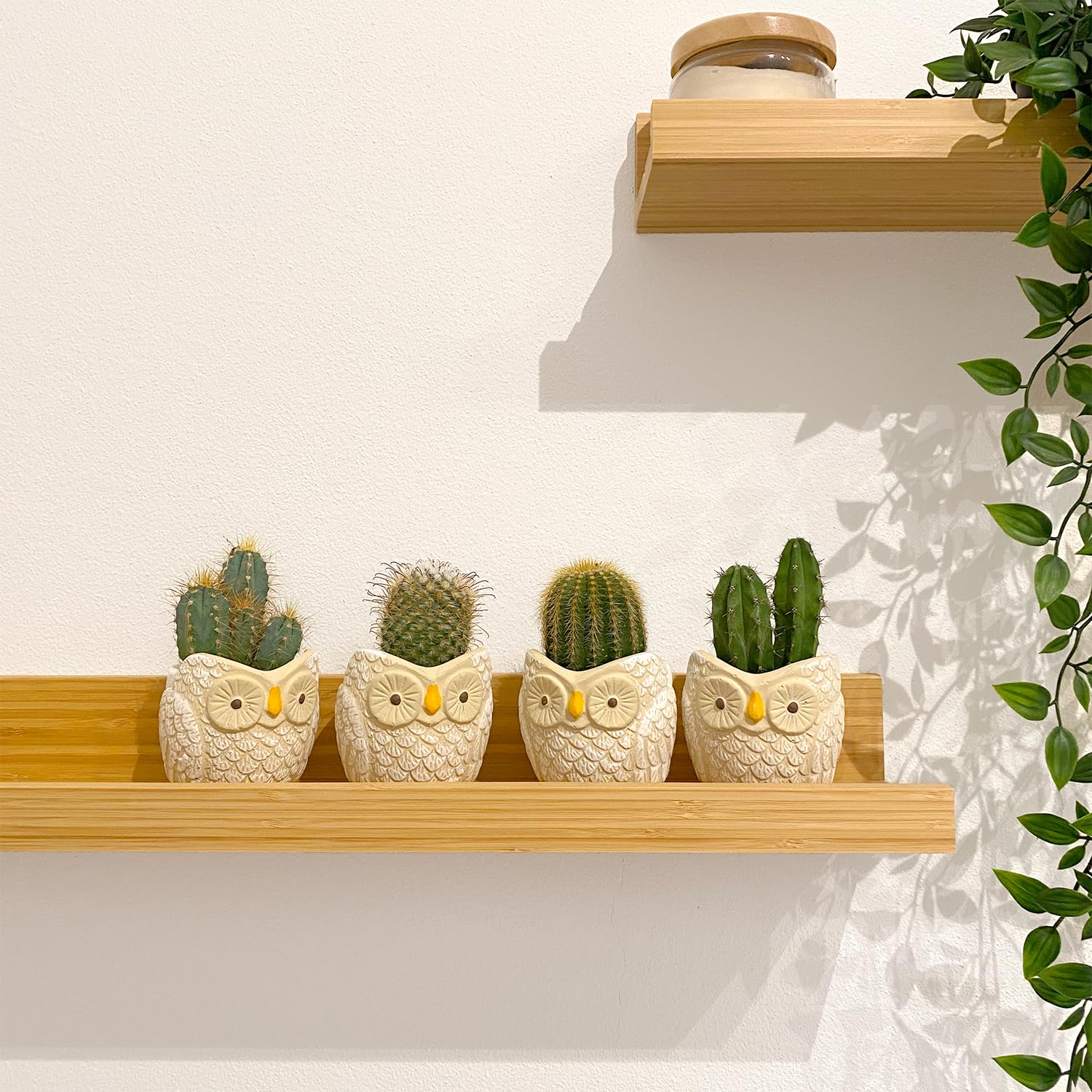 Vasi per Fiori in Ceramica a Forma di Gufo Creativi, Nuovi Vasi in Ceramica 2020, Vaso da Scrivania dal Design Carino, Vaso per Piante Succulente