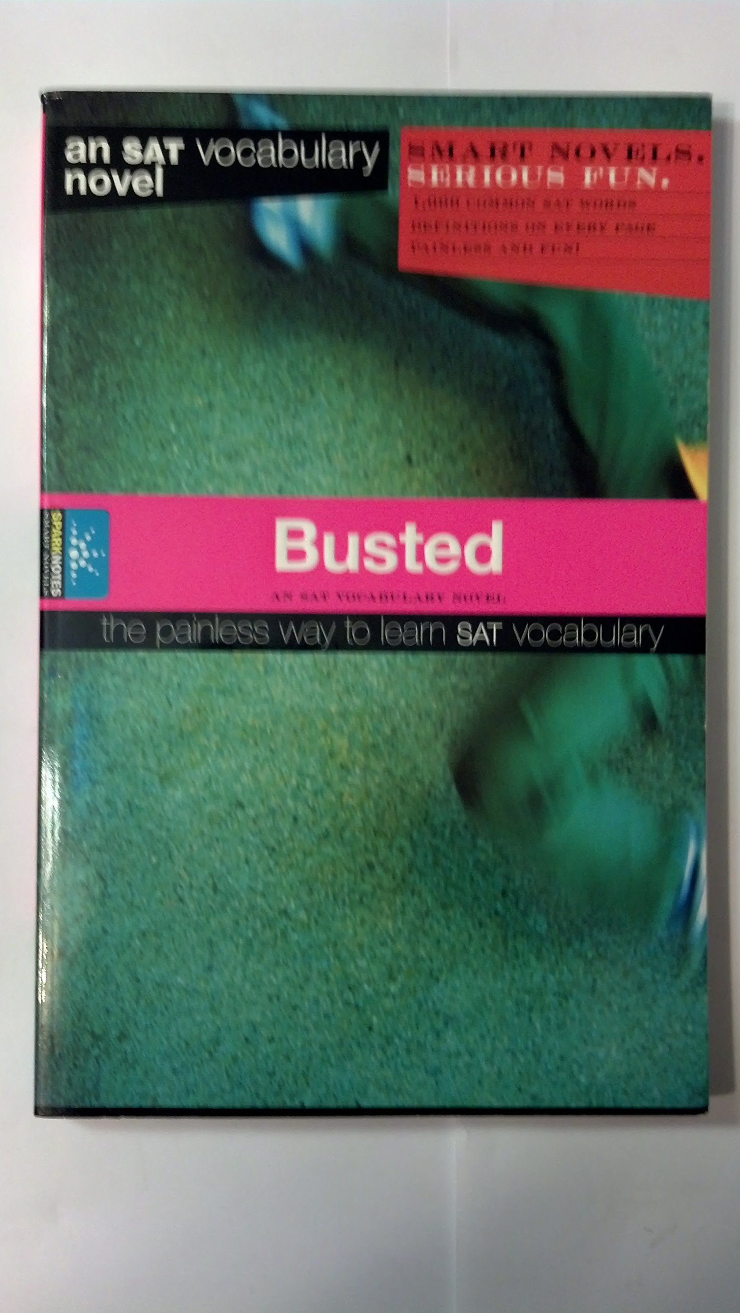 Busted (Smart Novels: Vocabulary)