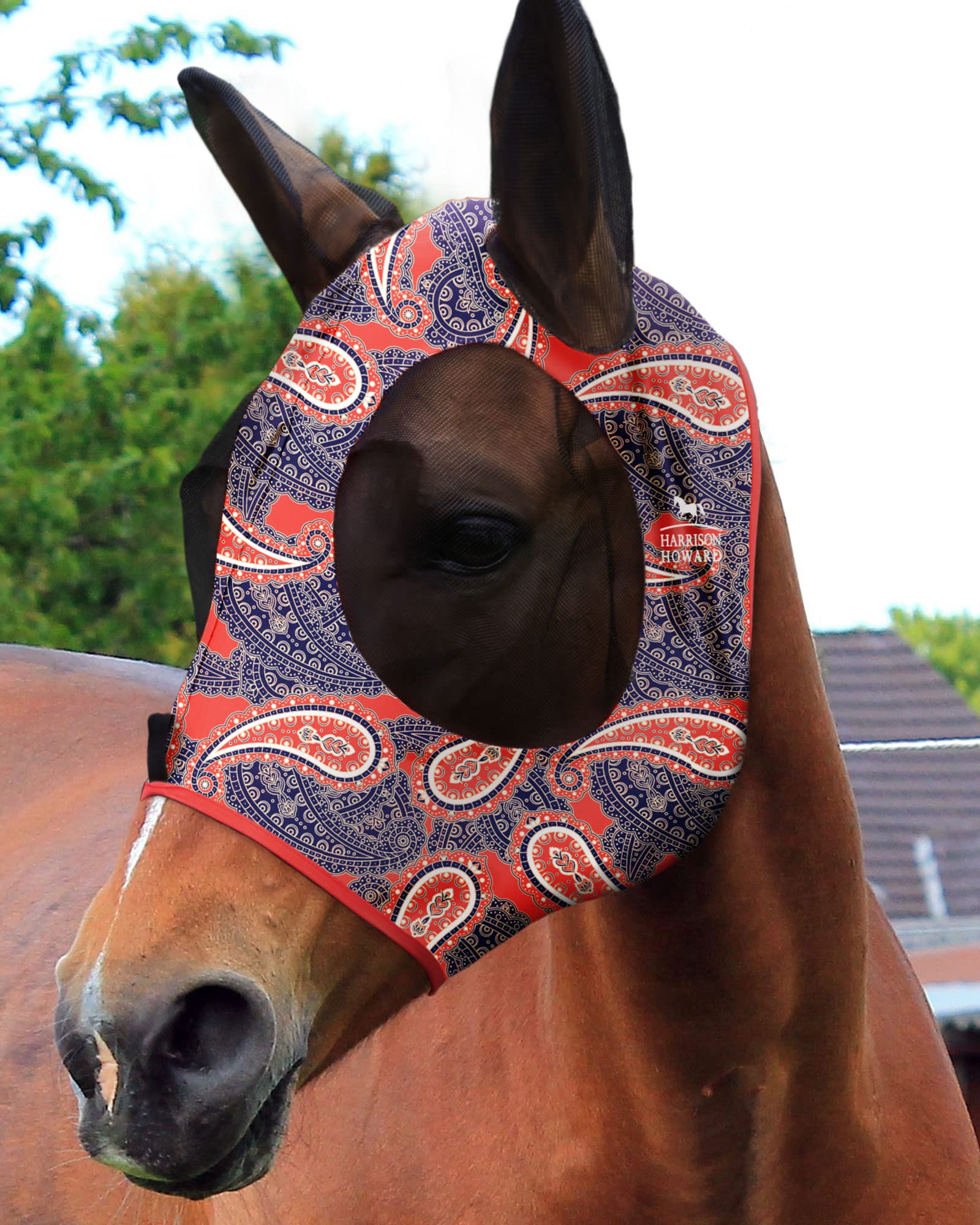 Harrison Howard Super Comfort Stretchy Fly Mask Large Eye Space with UV Protection Soft on Skin with Breathability Orange Paisley Full Size