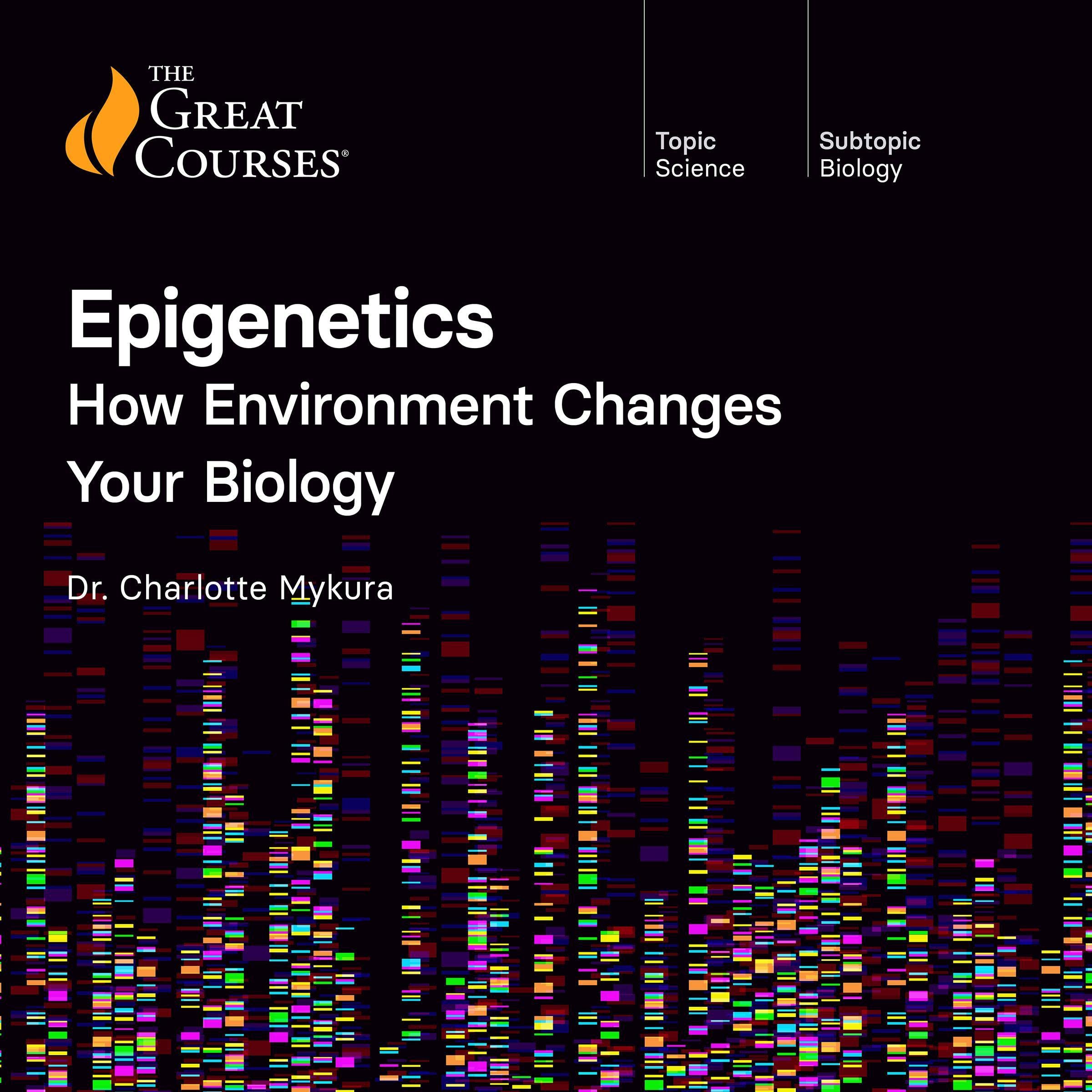 Epigenetics: How Environment Changes Your Biology
