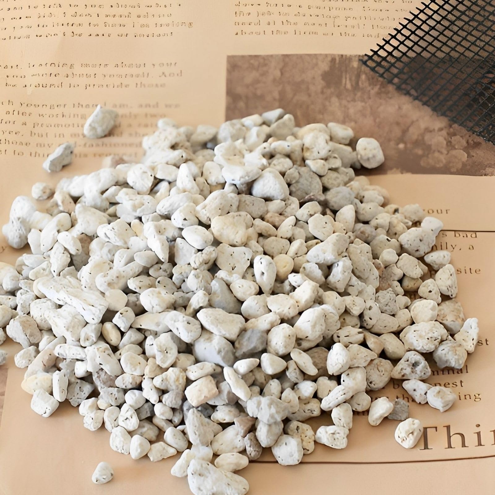 Amazon.co.jp: Leap Raupe 鉢底石 軽石 園芸 大粒 2L 10年使える鉢底 Amazon.co.jp: Leap Raupe 鉢底石 軽石 園芸 大粒 2L 10年使える鉢底