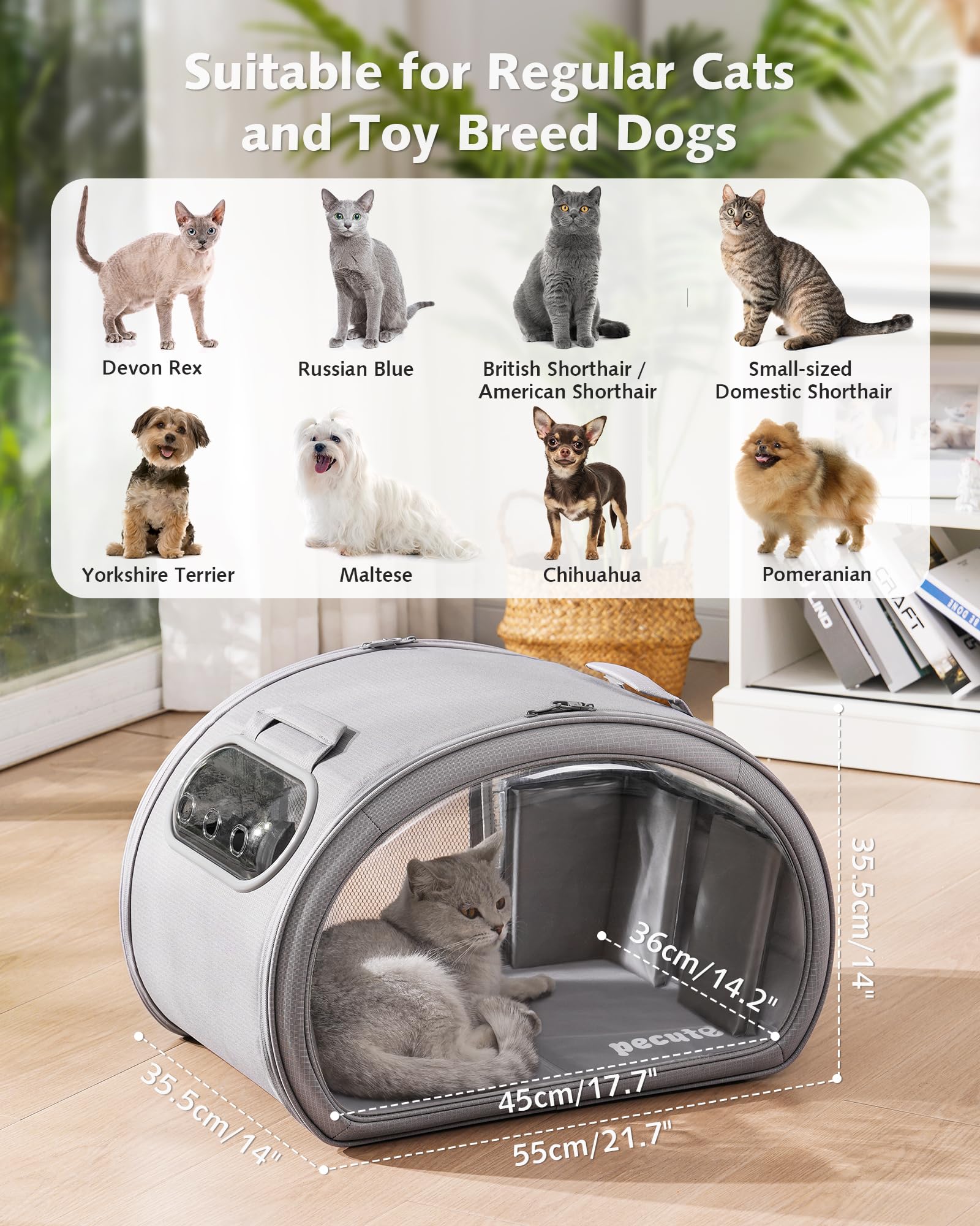 Niche Rafraîchissante pour Chat Pecute | Cabane Anti-Canicule avec Blocs de Glace et Tapis Gel | Design Transparent et Structure Solide | Idéale pour Maison et Extérieur | Taille M, Gris