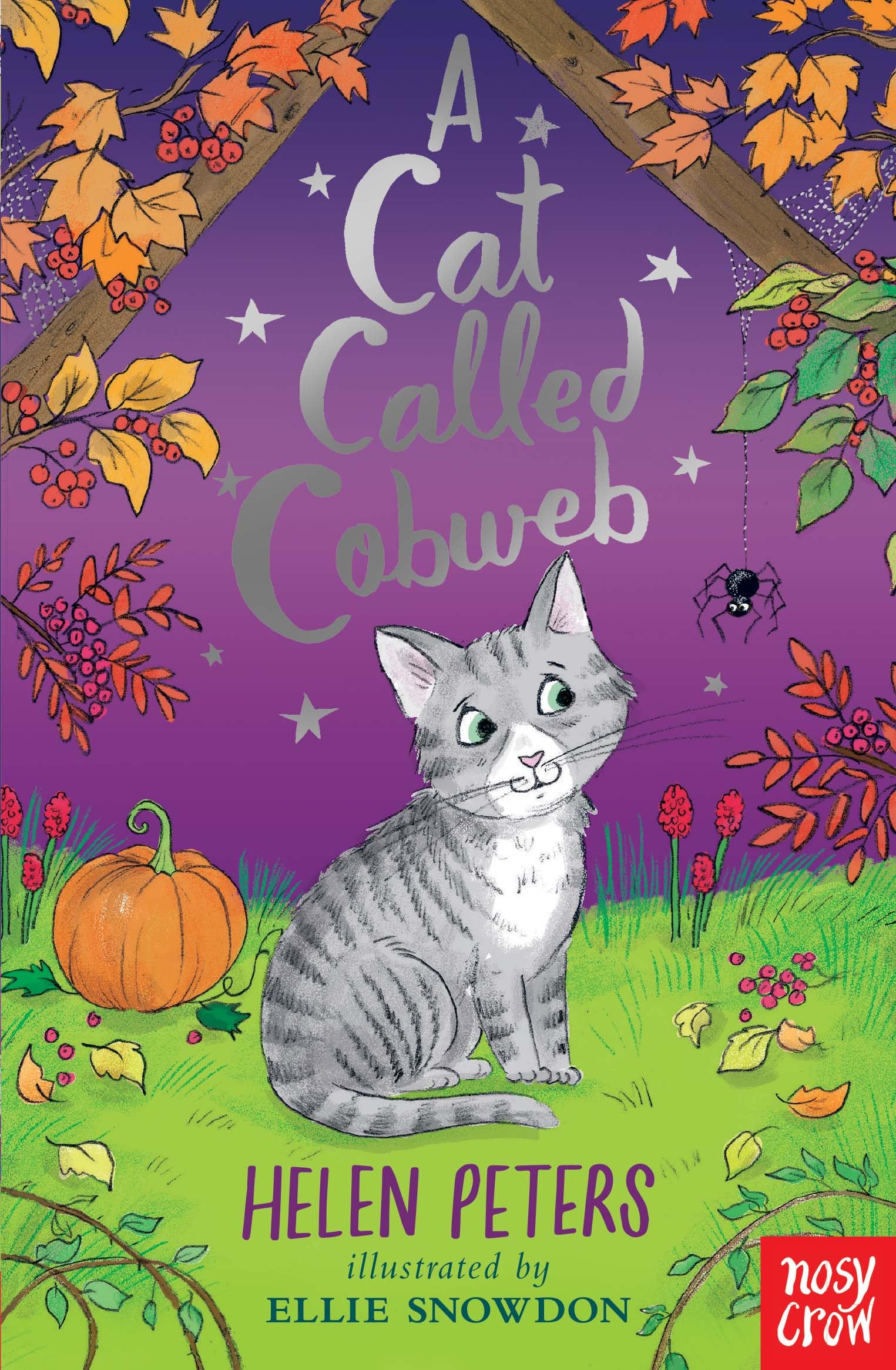 A Cat Called Cobweb