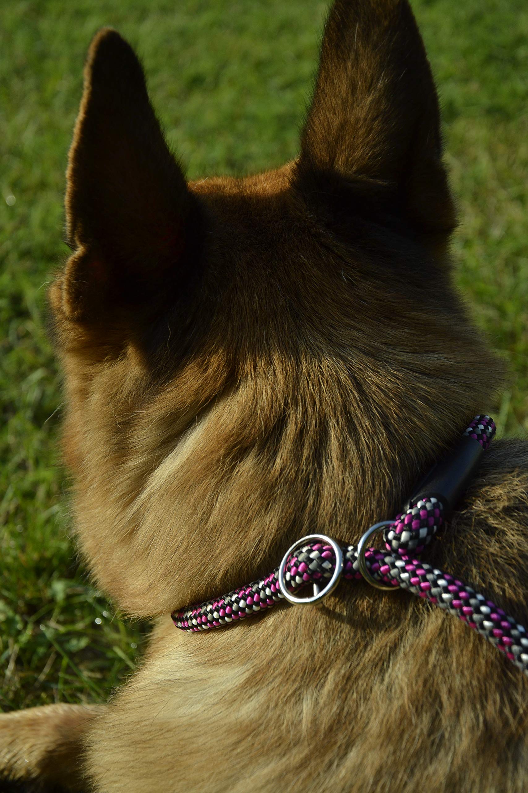 Dingo Magic Dog Leash for Dog with Adjustable Choke Collar Pink Melange 10487 - Image 3