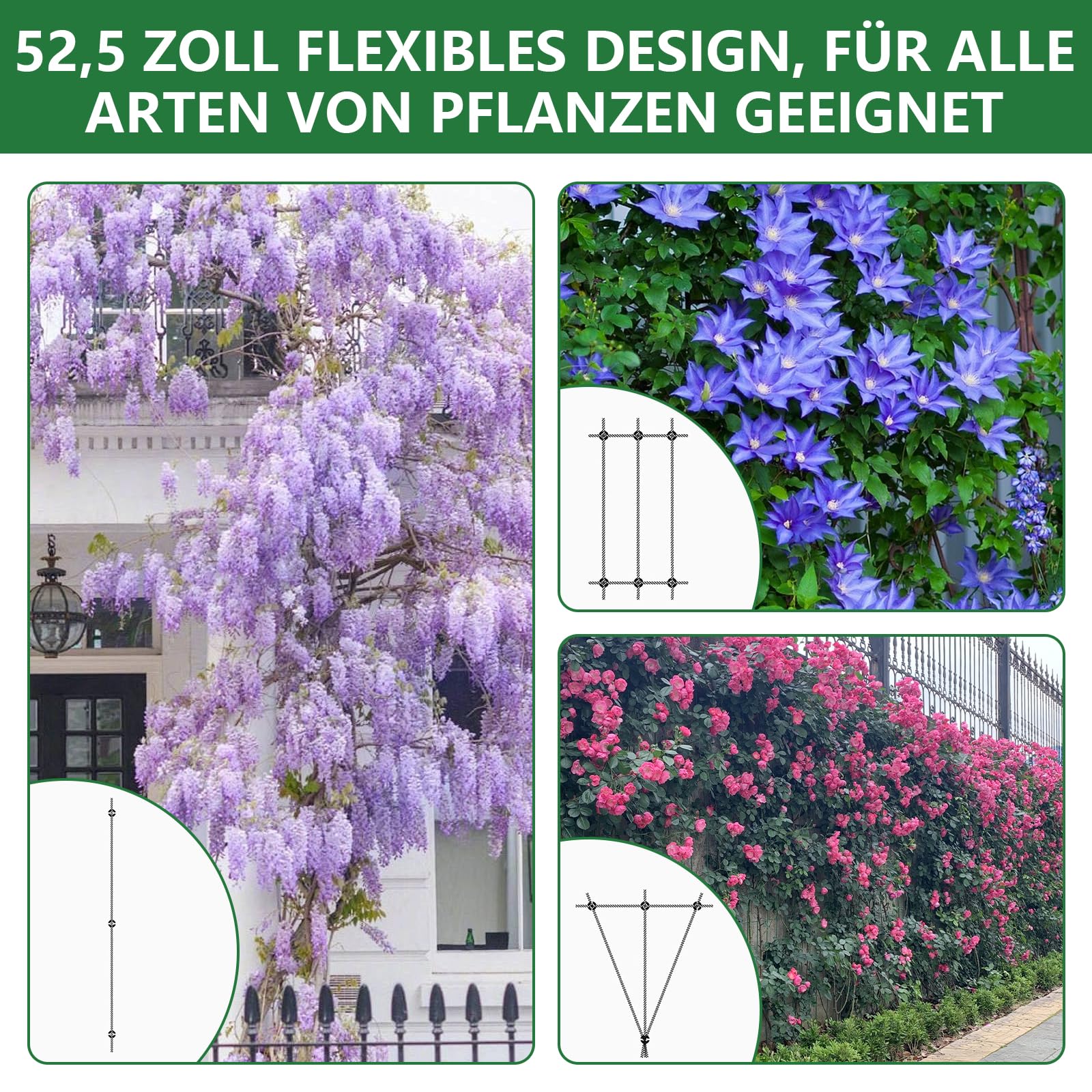 Rankhilfe Metall Edelstahl für Kletterpflanzen, 16m Kletterhilfe Stahlseil | Rankhilfe Wand Pflanzen Set mit 3 mm Durchmesser Seil&10 Halter, Rankgitter Ddelstahl Seilsystem für Garten/Mauer/Beton/Zaun