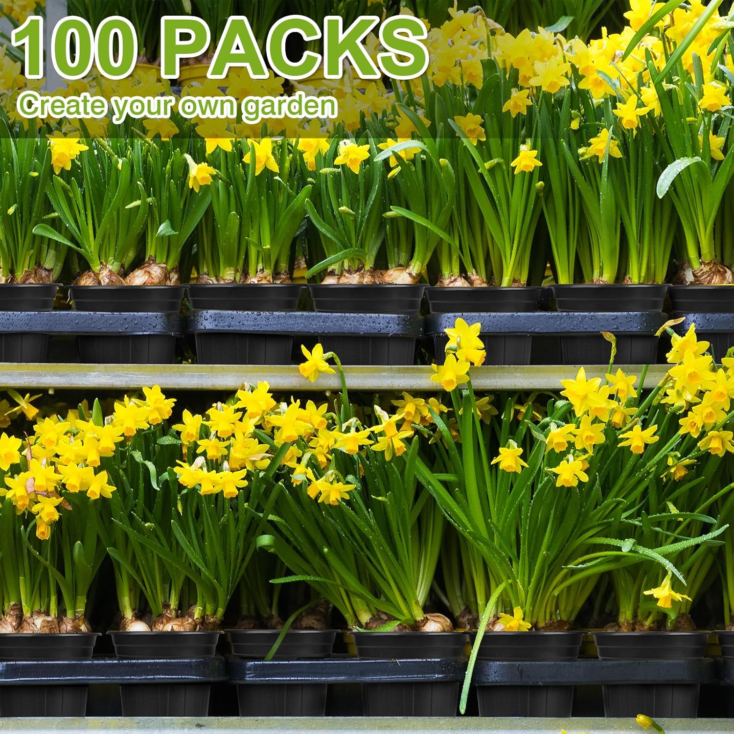 GroTheory 100 Pack 1 Gallon Nursery Pots, 6.7 Inch Plastic Pots for Plants, Plastic Flower Pots, Plant Pot, Seedling Pots for Potting, Seed, Succulent, Planting Pots with Plant Labels