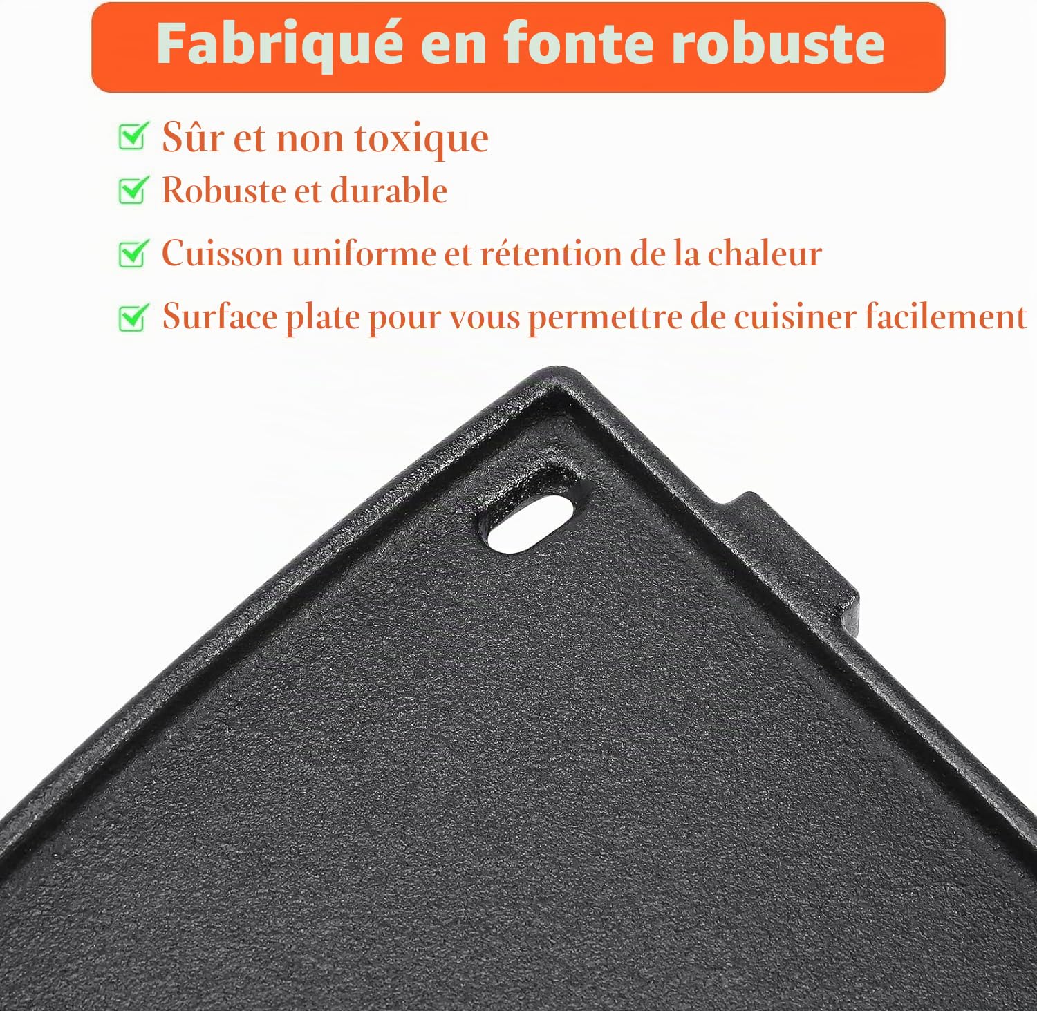 GFTIME Plaque en fonte 6560 pour Weber Q 300, Spirit, Genesis et Summit