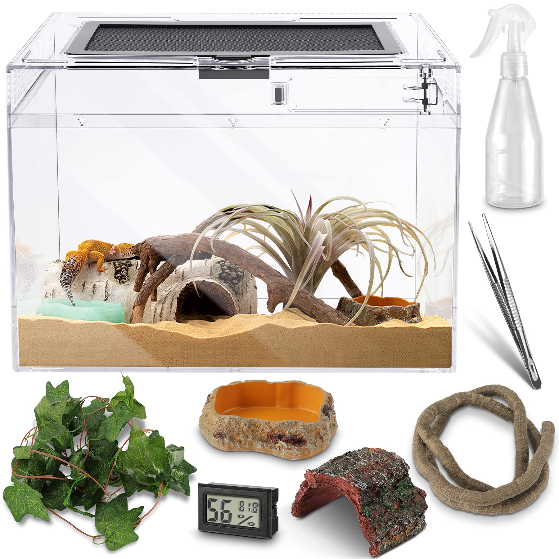 Buy Reptile PC Glass Terrarium Anti Breakage 12x9x7 inch Amphibians