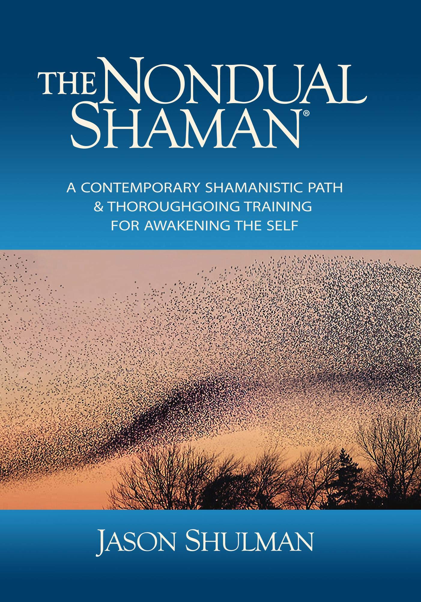 The Nondual Shaman: A Contemporary Shamanistic Path & Thoroughgoing Training for Awakening the Self (Practical Guides to Enlightenment, Awakening, and Healing)