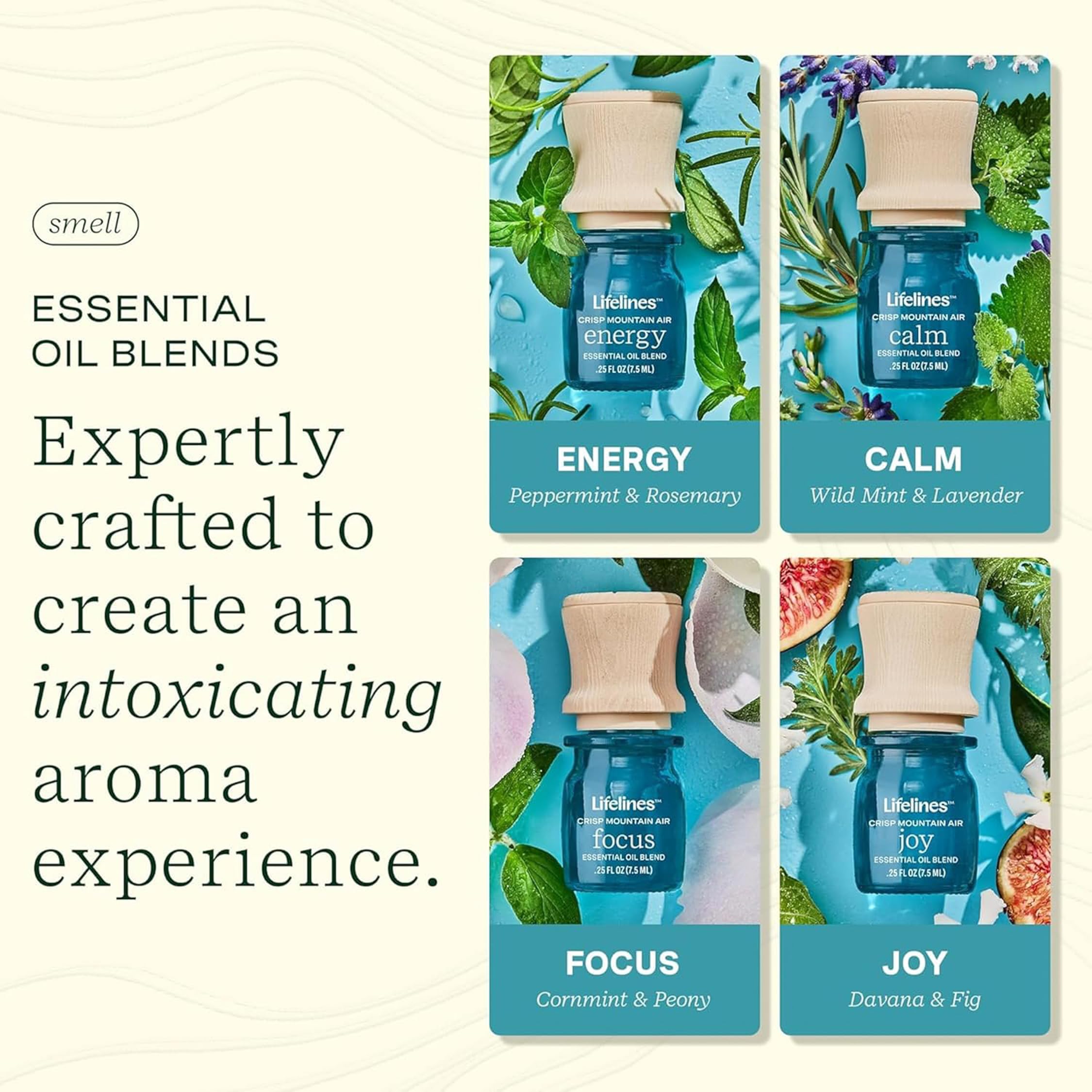 Amazon.com: Lifelines Essential Oil Blends, 4-Pack - Blended