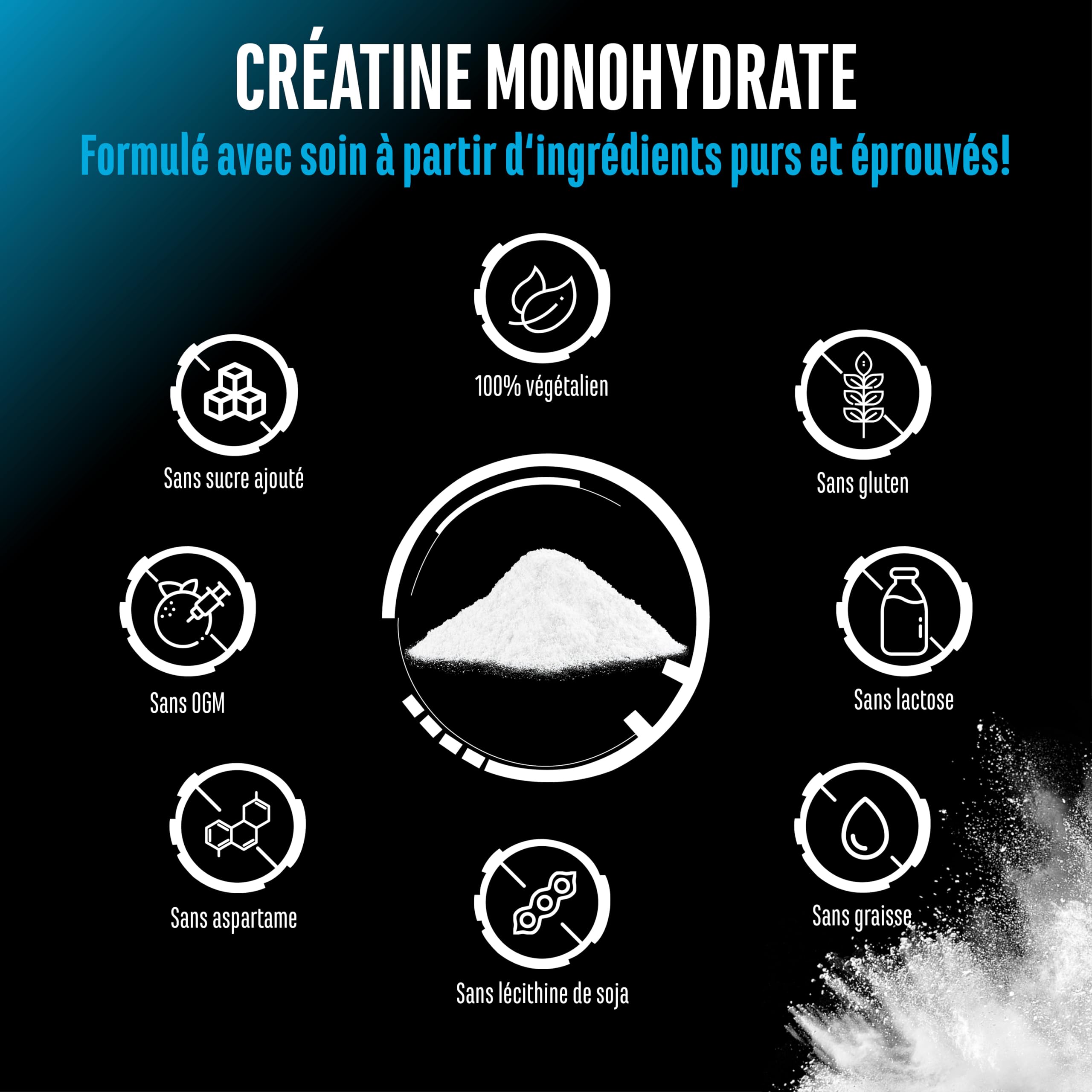 Poudre de Créatine - 1kg / 1000 g - Poudre de Monohydrate de Créatine - Solubilité Optimale & Microfine - Vegan - 293 Applications