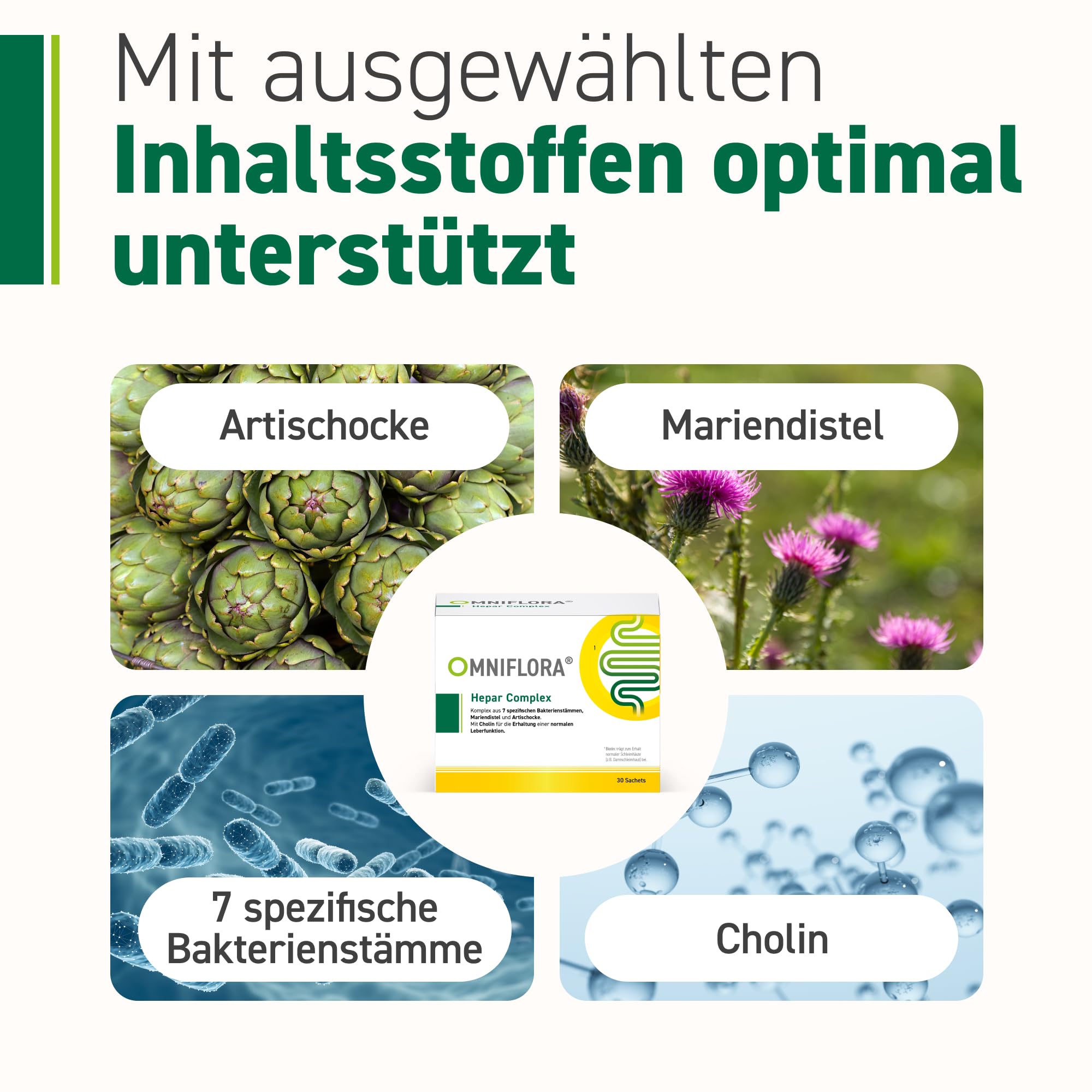 Omniflora Hepar Complex – Mariendistel, Cholin & 7 Kulturen – 30 Sachets | Cholin für eine normale Leberfunktion · Mit Mariendistel, Artischocke & 7 Bakterienkulturen · 2-Kammer-Sachet · Glutenfrei