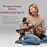 KIT DE VALOR DE COMFORT ZONE; 3 Difusores Multigato & 6 Recargas; Feromonas Calmantes para Gatos; Reduce el Estrés, la Agresividad, las Peleas, el Marcado de Orina, el Rascado