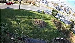 Review Image by R. Alexander R. Alexander