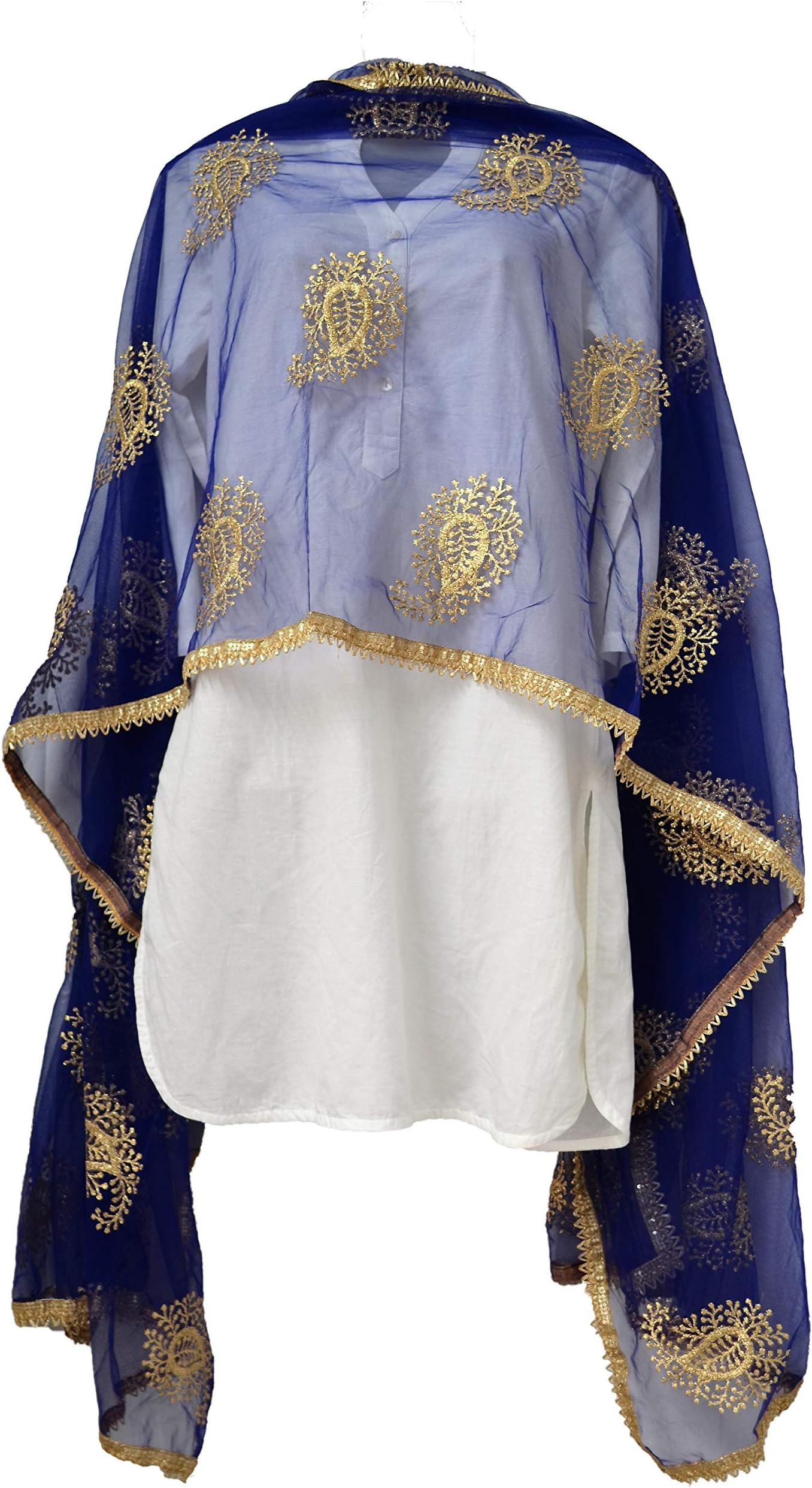 Skhoza Net Embroidered Dupatta for women