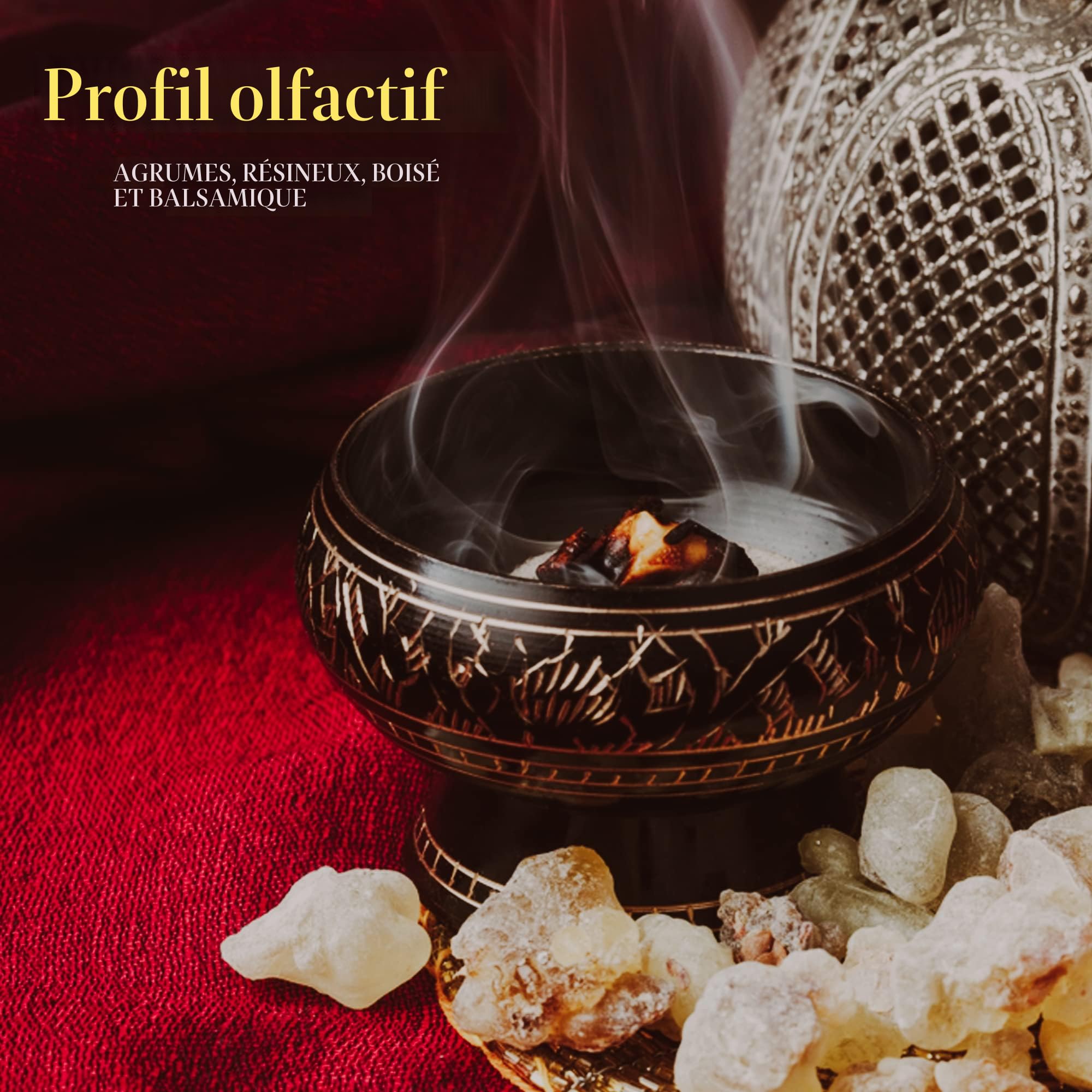 Encens En Grains Oliban D'Oman (Boswellia Sacra) - 500 Grammes - Neuf