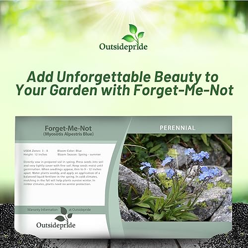 Miniatura 6 de Outsidepride Perennial Low Growing Blue Myosotis Alpestris Olvídate de las flores - 5000 semillas