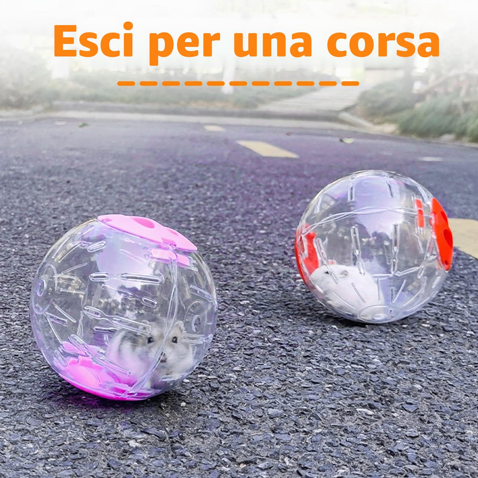 2 palline trasparenti carine per criceto - Palline da esercizio