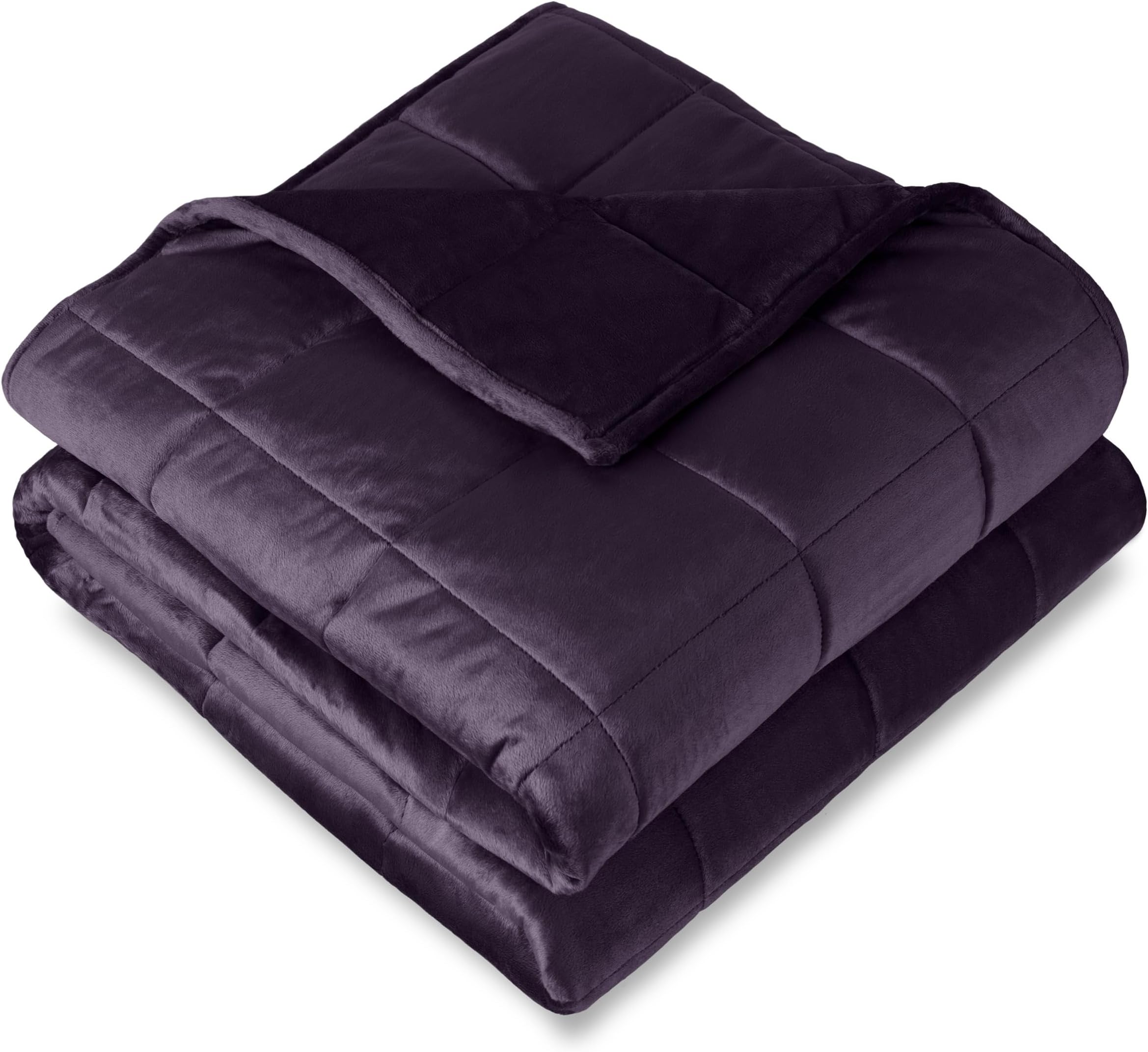 Bare Home Weighted Blanket Twin or Full Size 10lb (40" x 60") - Minky Fleece - Premium Heavy Blanket Nontoxic Glass Beads (Eggplant, 40"x60")