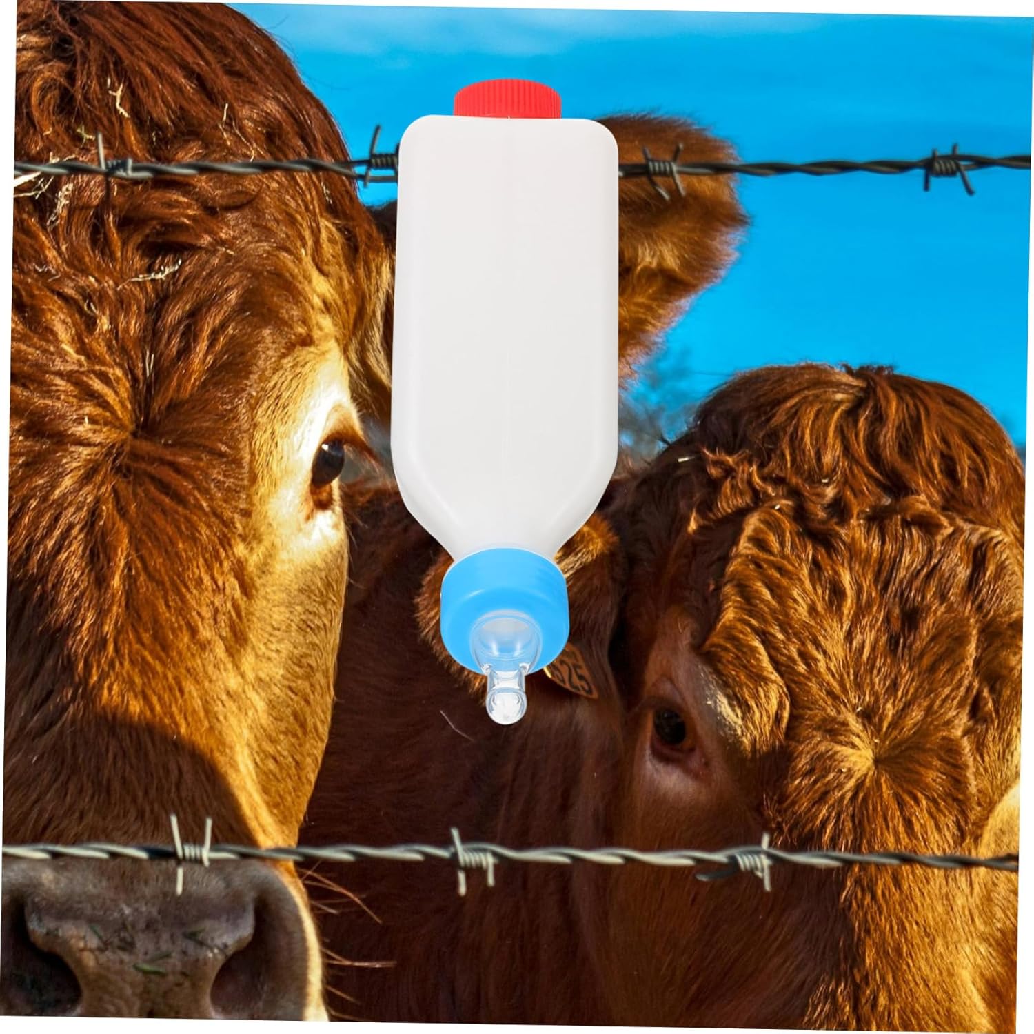 Mipcase 4pcs Goat Bottle for Feeding Goats Calves Milk Bottle Reusable Livestock Feeding