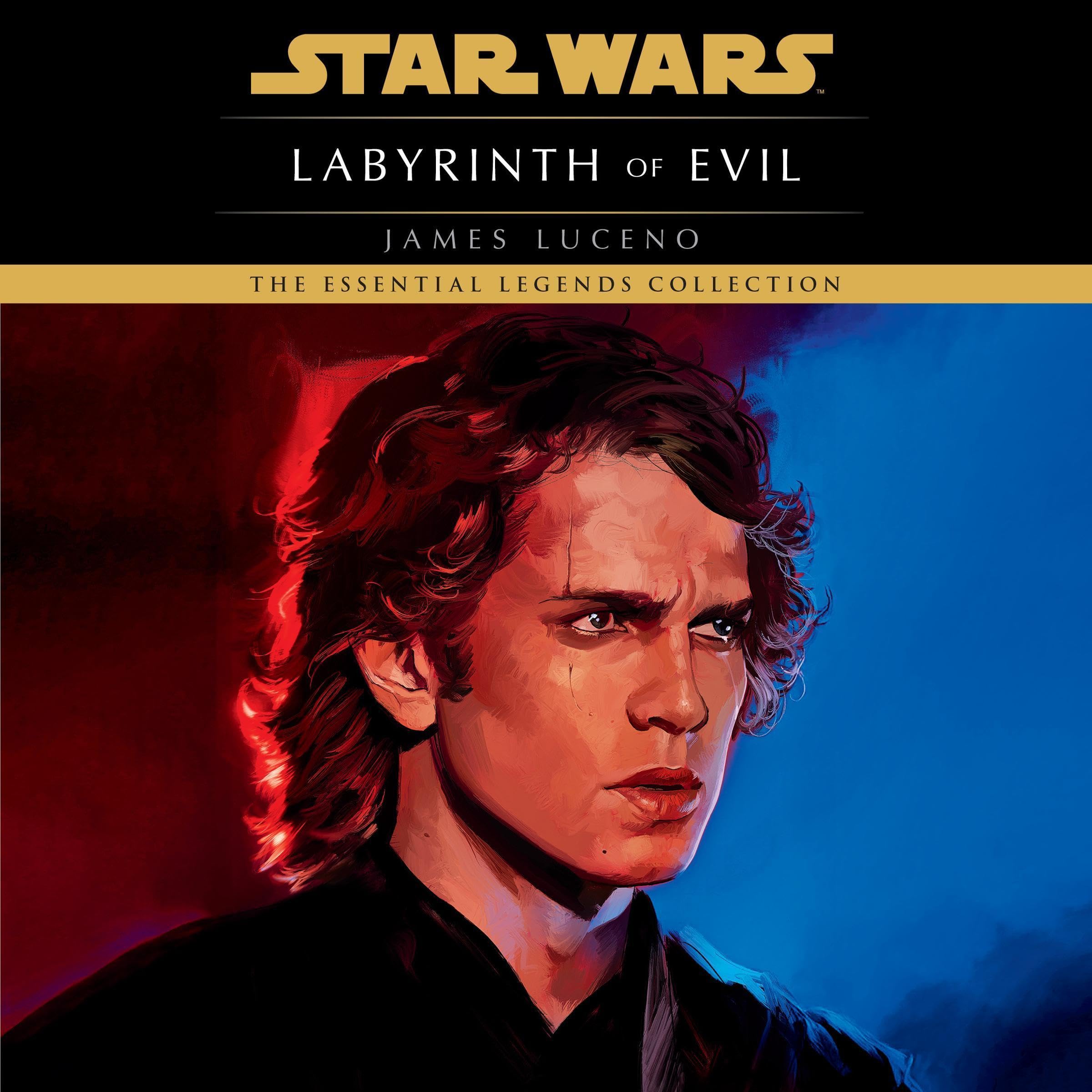 Cover art for Labyrinth of Evil: Star Wars Legends