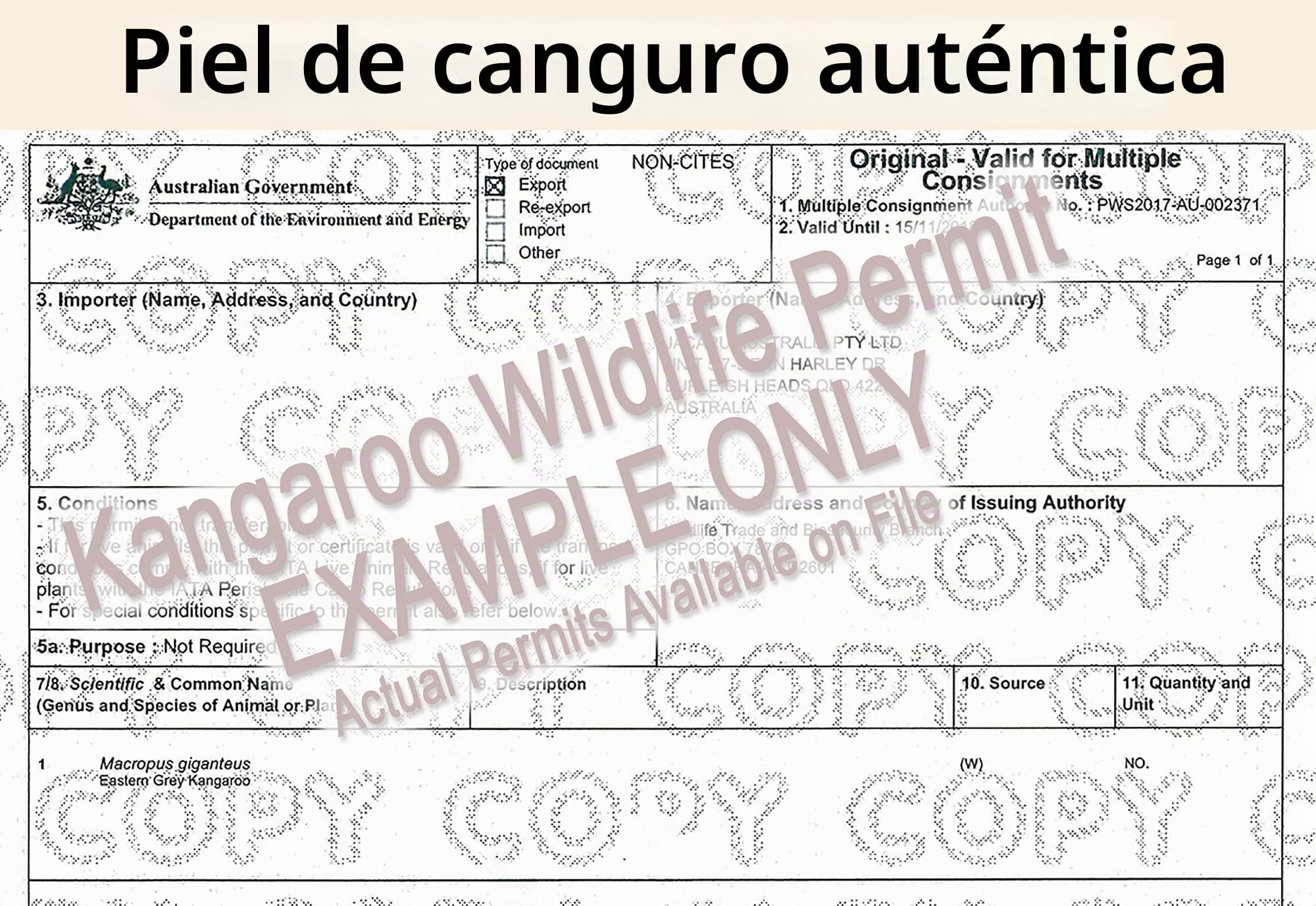 Oztrala Engrasado Canguro Cuero Sombrero Australiano Cowboy Outback Hombres Negro Western Aussie HLK2 US