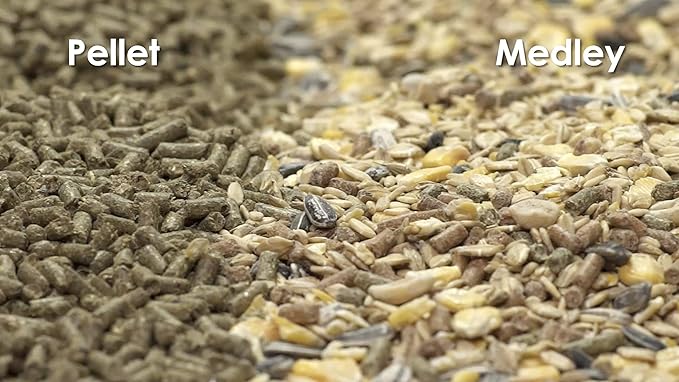 Kaytee Supreme Alimento para Ratones y Ratas, 4 lb miniatura 5