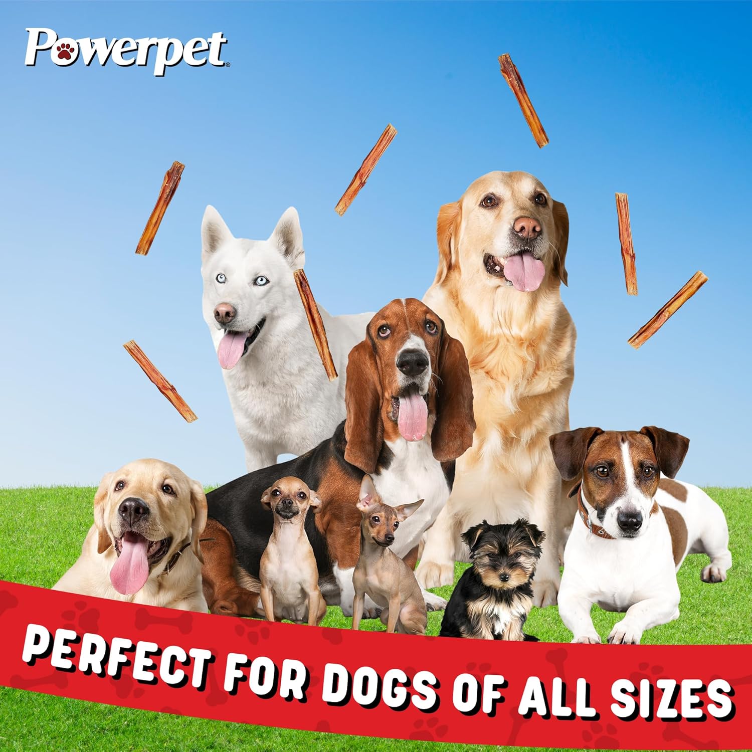 Powerpet 100% Natural Bully Stick - High Protein, Low Fat, Healthy Dog Treats, Long-Lasting Dog Chews, Easily Digestible, Cleans Teeth, Low Odor, for All Breeds & Sizes, 6" - 10 Count