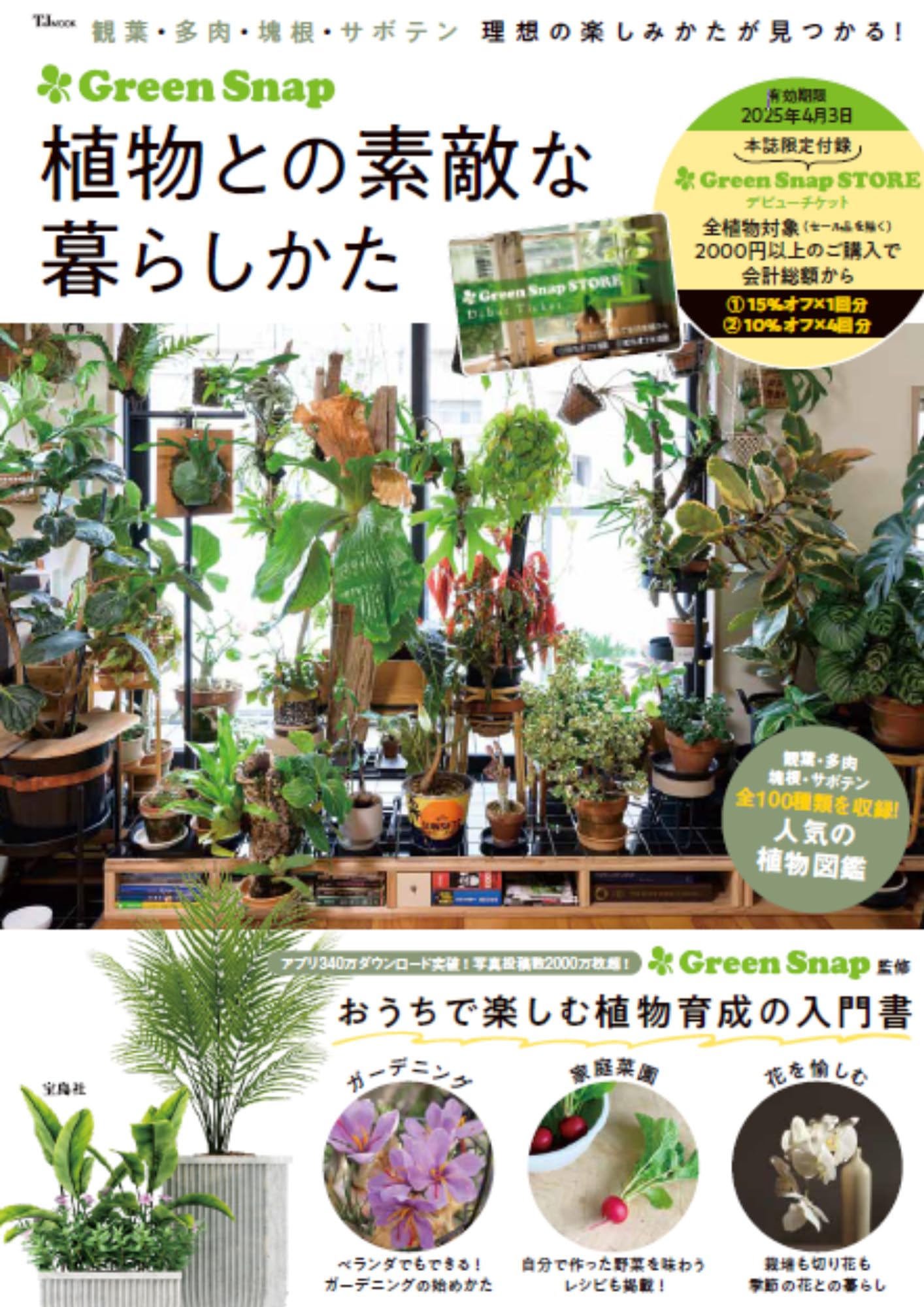 グリーンLife Book 2 (緑と雑貨で輝く暮らし) グリーンLife Book 2 (緑と雑貨で輝く暮らし) グリーンLife Book 2 (緑と